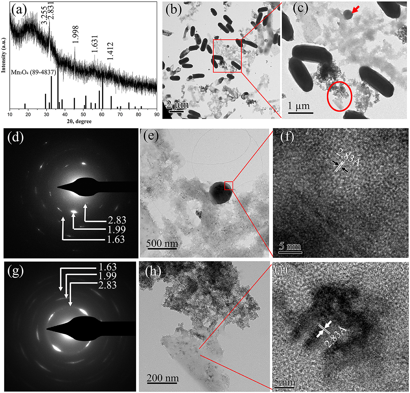 Nine-panel scientific analysis showing data and electron microscopy images of MnO2. (a) X-ray diffraction pattern. (b) and (e) TEM images highlighting MnO2 structures. (c) Magnified nanostructures with marked region. (d) and (g) Selected area electron diffraction (SAED) patterns with lattice spacings labeled. (f) and (i) High-resolution TEM images showing atomic lattice fringes, 2.83 angstrom spacing marked. (h) TEM image of aggregated nanostructures. Each panel connects via red squares for detailed view.