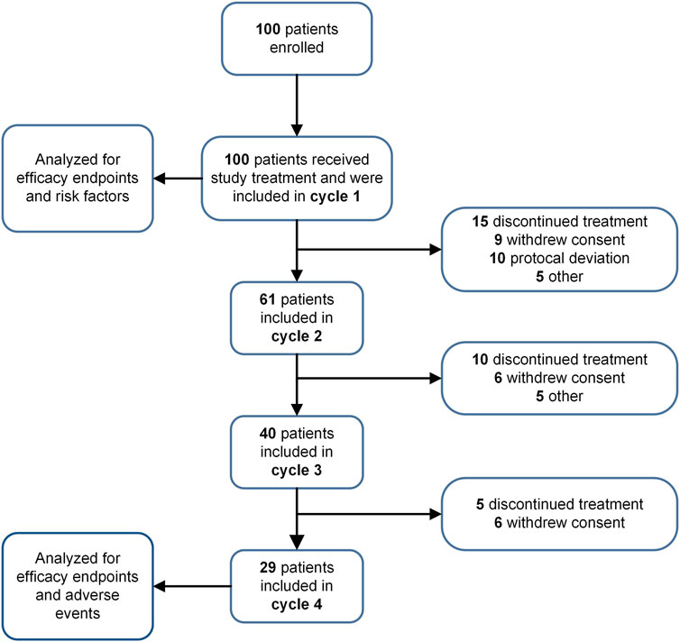 Flowchart of a patient study. One hundred patients enrolled, with all receiving treatment in cycle one. Sixty-one continued to cycle two; fifteen discontinued. Forty entered cycle three; ten discontinued. Twenty-nine reached cycle four; five discontinued. Analysis was conducted for efficacy endpoints, risk factors, and adverse events.