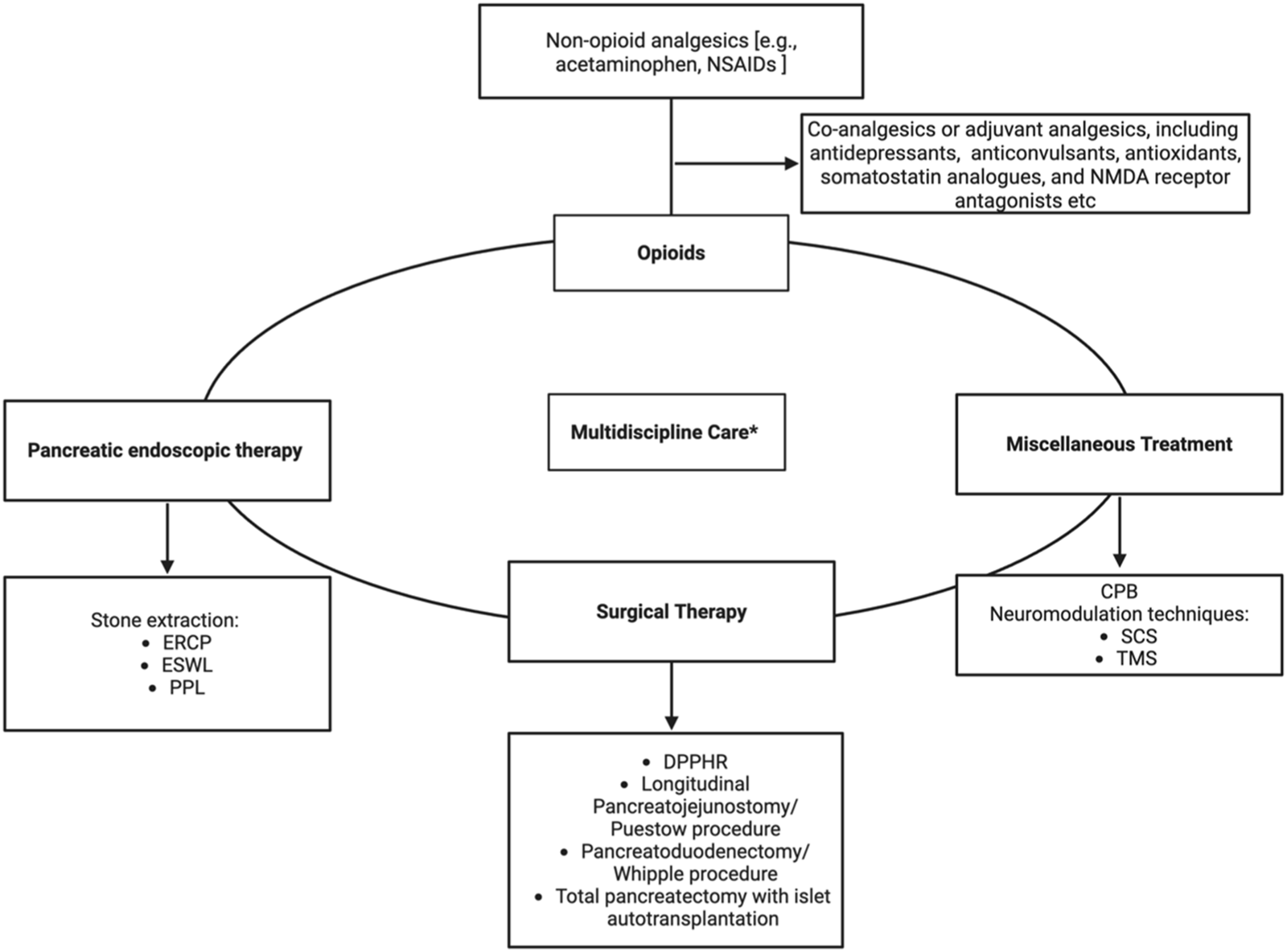 Flowchart depicting treatment options including non-opioid analgesics, opioids, pancreatic endoscopic therapy, surgical therapy, multidisciplinary care, and miscellaneous treatment. Pancreatic therapy involves stone extraction methods; surgical options include DPPHR and others. Miscellaneous treatments involve CPB and neuromodulation techniques. Co-analgesics and adjuvant analgesics are also noted.
