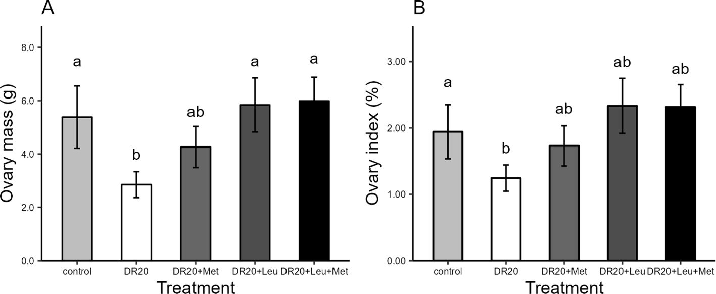 Bar graphs A and B show the effects of different treatments on ovary mass and index. Graph A depicts ovary mass in grams, with control and three treatments: DR20, DR20+Met, DR20+Leu, DR20+Leu+Met. DR20 shows significantly lower mass. Graph B illustrates ovary index percentage with the same treatments; DR20 also shows a lower index. Error bars indicate variance. Treatments DR20+Leu and DR20+Leu+Met have similar values. Statistical significance is denoted by different letters above bars.