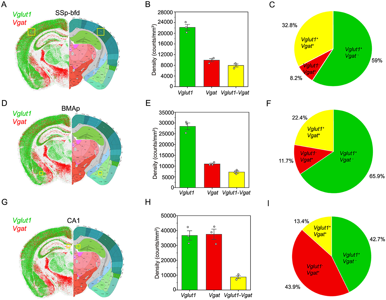 A composite image showing various scientific visualizations related to brain imaging. Top left is a fluorescent-stained brain section in green and red with labeled sections B and C magnified further. Panels D and E display scatter plots of red and blue dots at different z-positions, labeled as Vglut1 and Vgat. Panel F presents four similar brain images with insets showing detailed sections marked Z1 to Z4. Panel G contains bar charts titled MAE, AUC, and Pearson correlation. Panel H outlines curve analysis. Panel I features line graphs comparing Z1 to Z4.