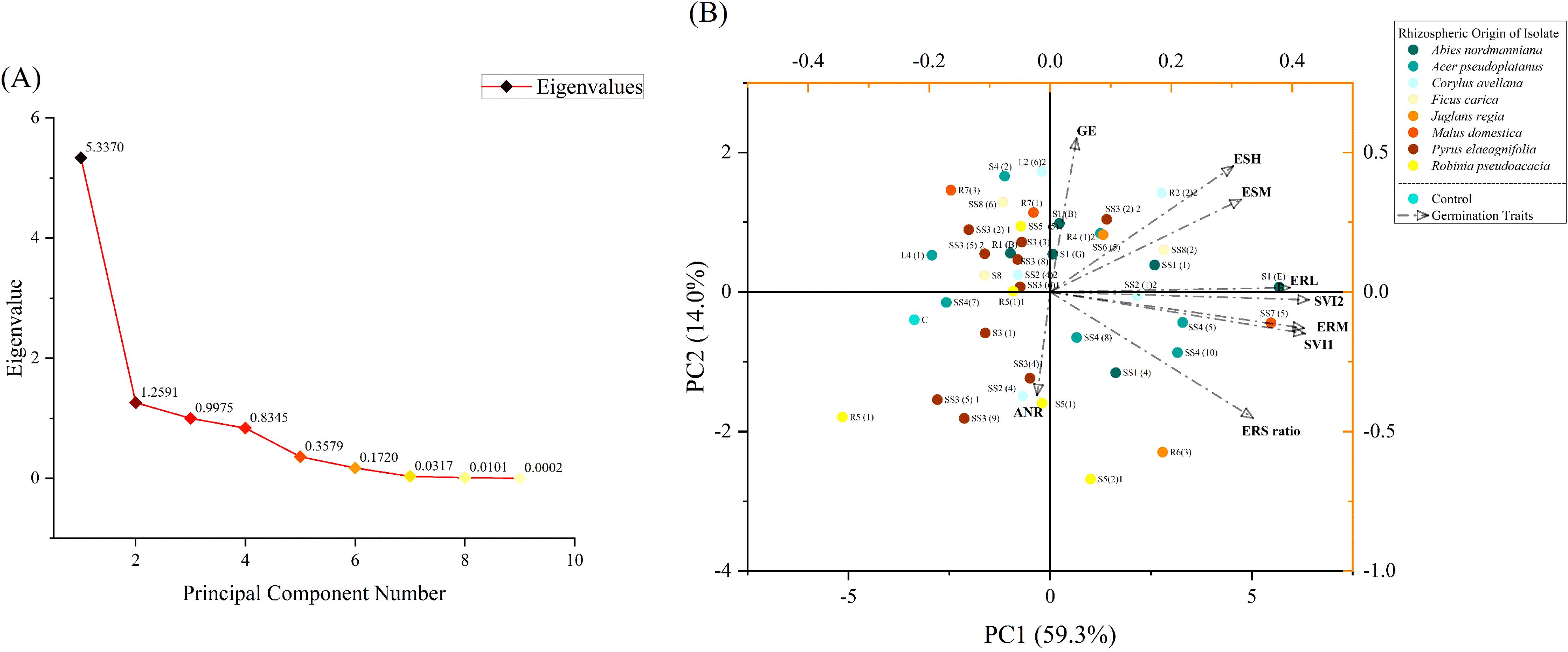 (A) A scree plot showing eigenvalues against principal component numbers. The first component has the highest eigenvalue of 5.3370, decreasing sharply thereafter. (B) A principal component analysis (PCA) biplot with PC1 and PC2 axes. Data points represent different rhizospheric origins and control groups, marked with various colors. Arrows indicate germination traits like GE, ANR, and others. Percentages shown are PC1 at 59.3% and PC2 at 14.0%. A legend details the color coding for each origin type.