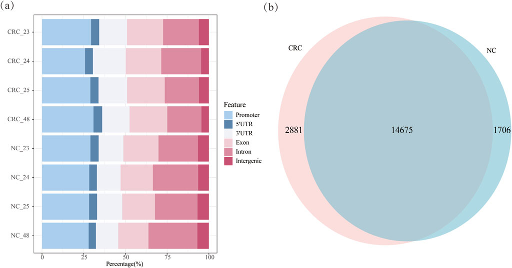 (a) Stacked bar chart showing genomic features distribution for samples CRC_23 to NC_48. Colors represent different features: promoter, 5'UTR, 3'UTR, exon, intron, and intergenic regions. (b) Venn diagram comparing CRC and NC groups. CRC has 2881 unique features, NC has 1706, with 14675 shared.