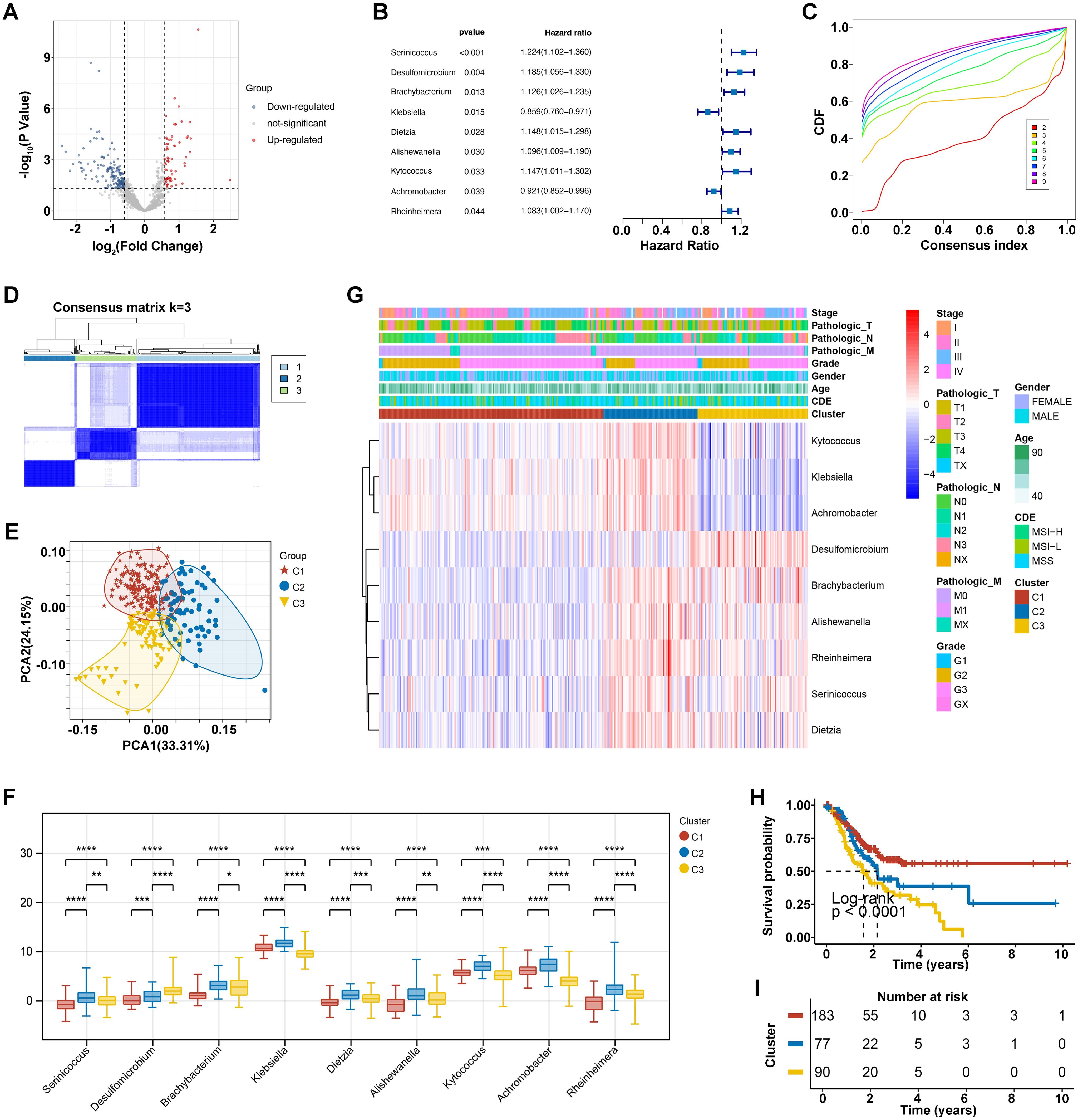 Scientific illustration showing multiple panels related to a study. Panel A presents a volcano plot with data points in blue, red, and gray, indicating gene expression changes. Panel B is a forest plot displaying hazard ratios and p-values of various factors. Panel C shows a CDF plot of consensus index curves. Panel D is a consensus matrix heatmap for k equals three. Panel E contains a PCA plot distinguishing three groups. Panel F features a box plot comparing microbial abundance across three clusters. Panel G is a heatmap with annotation for different clinical parameters. Panel H displays Kaplan-Meier survival curves with significant differences among clusters. Panel I provides a risk table below the survival plot.
