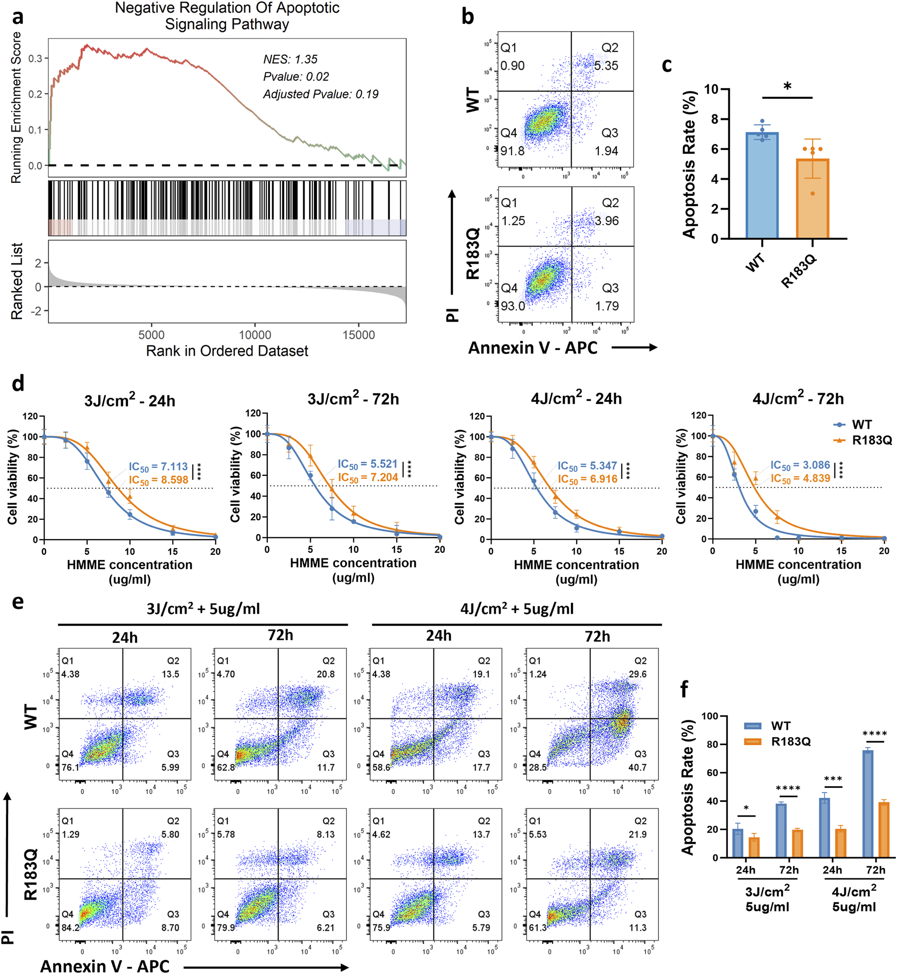 Panel a shows a line graph with a running enrichment score for the negative regulation of apoptotic signaling, with NES, p-value, and adjusted p-value given. Panel b displays flow cytometry plots of WT and R183Q, showing apoptosis via Annexin V and PI staining. Panel c is a bar graph comparing apoptosis rates in WT and R183Q, with significance indicated. Panel d includes four line graphs of cell viability versus HMME concentration at different doses and time points, showing IC50 values. Panel e presents additional flow cytometry plots for WT and R183Q across various conditions. Panel f is a bar graph comparing apoptosis rates under specified conditions, indicating significant differences.