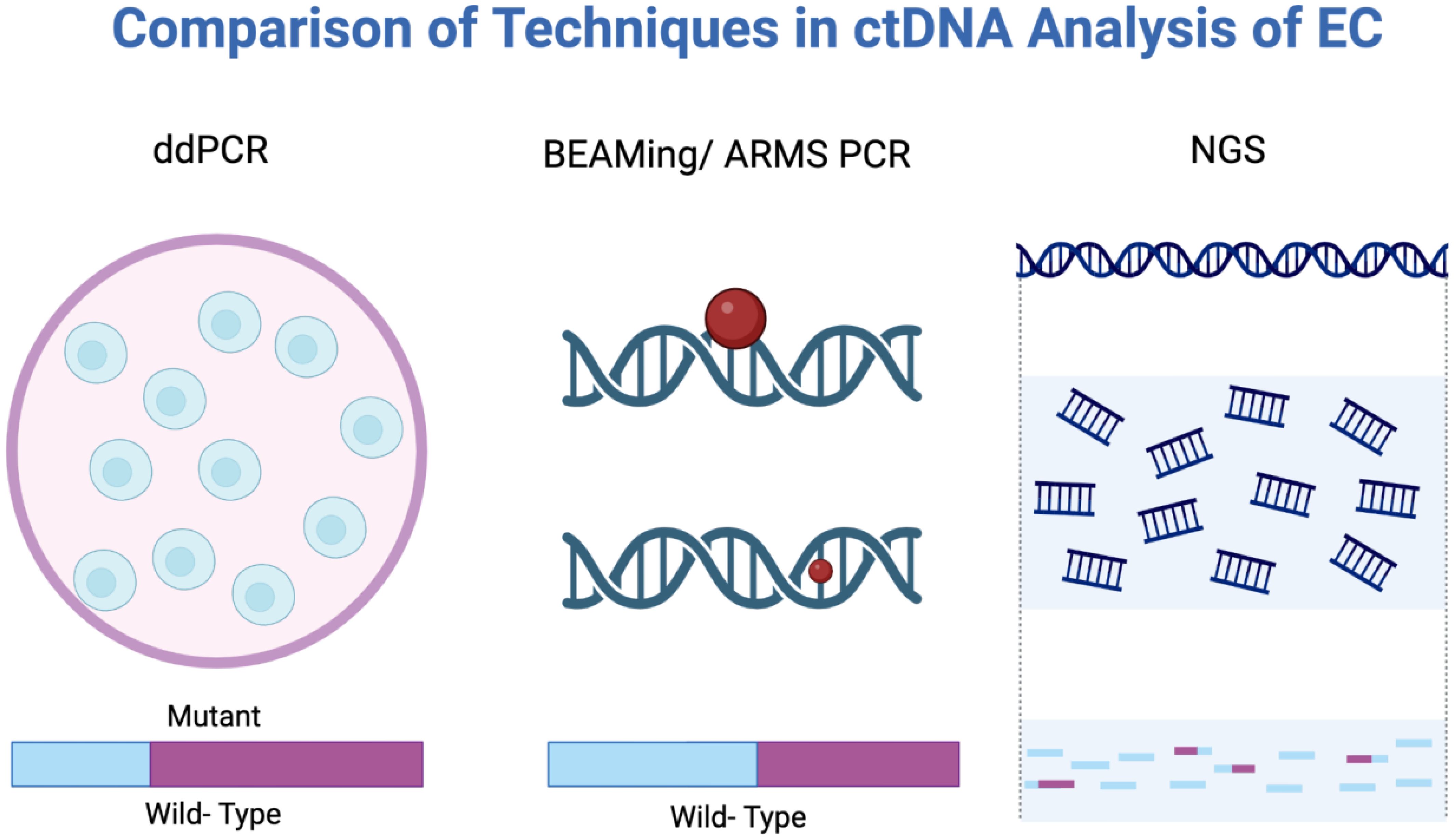 Comparison of techniques in ctDNA analysis of endometrial cancer (EC) is shown. ddPCR uses droplets for mutant and wild-type DNA detection. BEAMing/ARMS PCR involves beads on DNA strands. NGS sequences DNA fragments, shown by bars, distinguishing mutant from wild-type. Methods include visuals and effectiveness bars.