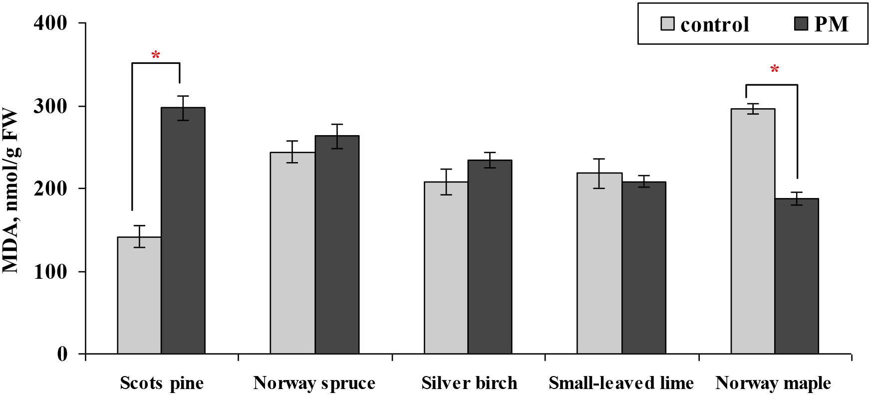 Bar chart comparing malondialdehyde (MDA) levels in nmol per gram of fresh weight across five tree species: Scots pine, Norway spruce, silver birch, small-leaved lime, and Norway maple. Gray bars represent control, and black bars represent PM treatment. Notable differences are highlighted with red asterisks for Scots pine and Norway maple.