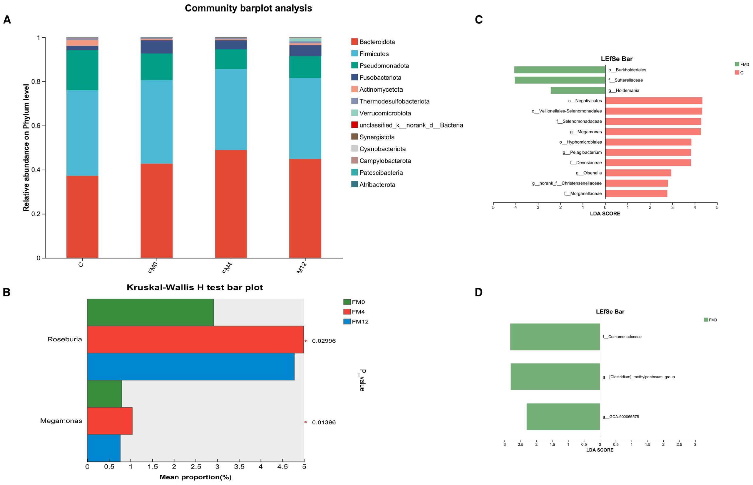 Graphical representation of microbiome data analysis. Panel A shows a bar plot of relative abundance at the phylum level, with diverse bacterial phyla color-coded. Panel B is a Kruskal-Wallis H test bar plot displaying mean proportions of bacteria genera, Roseburia, and Megamonas, differentiated by colored segments. Panel C is an LEfSe bar plot, indicating significant bacterial taxa with linear discriminant analysis (LDA) scores for categories FM0 and C. Panel D is another LEfSe bar plot showing significant taxa with LDA scores for category FM0.