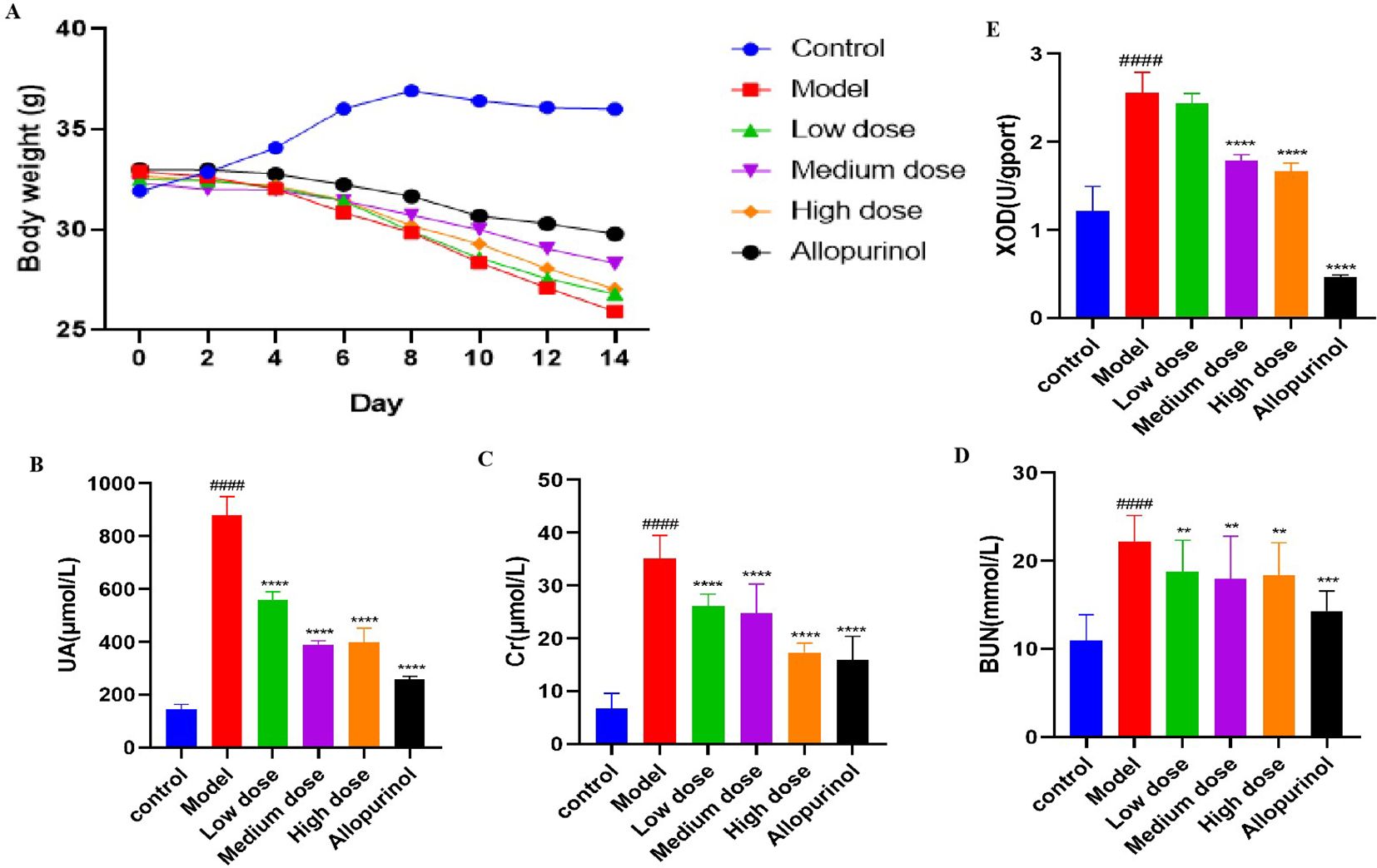 Graph A shows body weight changes over 14 days among groups: Control, Model, Low, Medium, High doses, and Allopurinol. Graphs B to E display respective levels of UA, Cr, BUN, and XOD, indicating dose-dependent differences across treatments. Control and Allopurinol generally show lower levels compared to the Model. Error bars represent standard deviations.