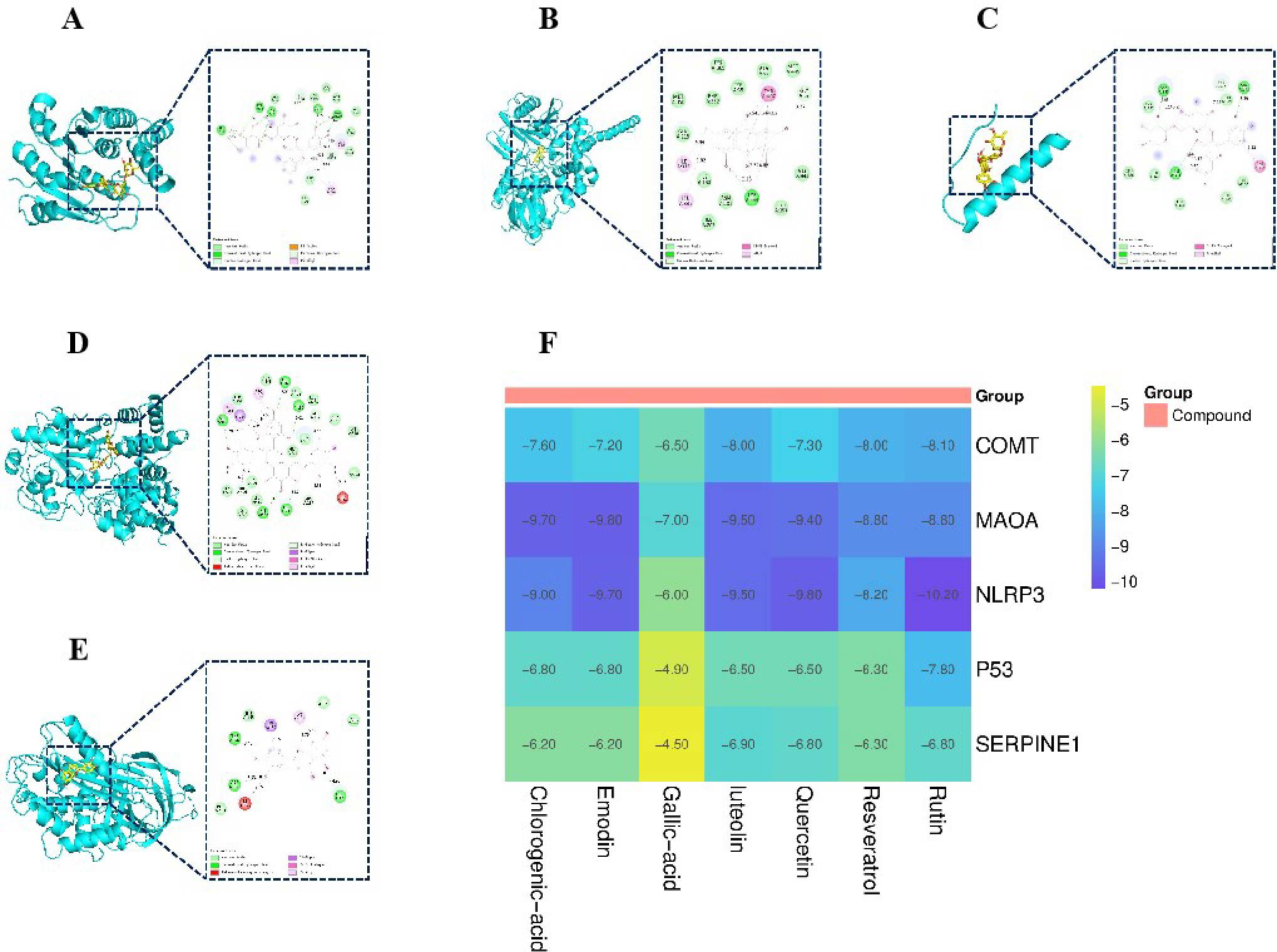 Molecular structures labeled A to E depict protein-ligand interactions with inset zooms showing detailed diagrams of interactions in yellow. Each structure denotes different proteins. Panel F is a heatmap with color-coded values ranging from -5 to -10, illustrating interactions of various compounds with groups such as COMT, MAOA, and NLRP3. The heatmap uses a gradient from yellow to blue to represent different binding affinities.