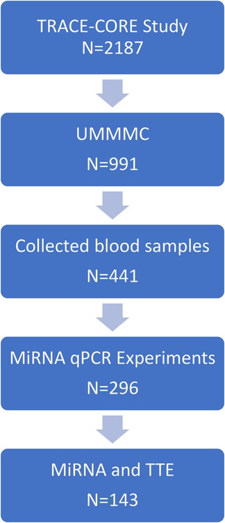 Flowchart illustrating the progression of participants in a study. It starts with the \
