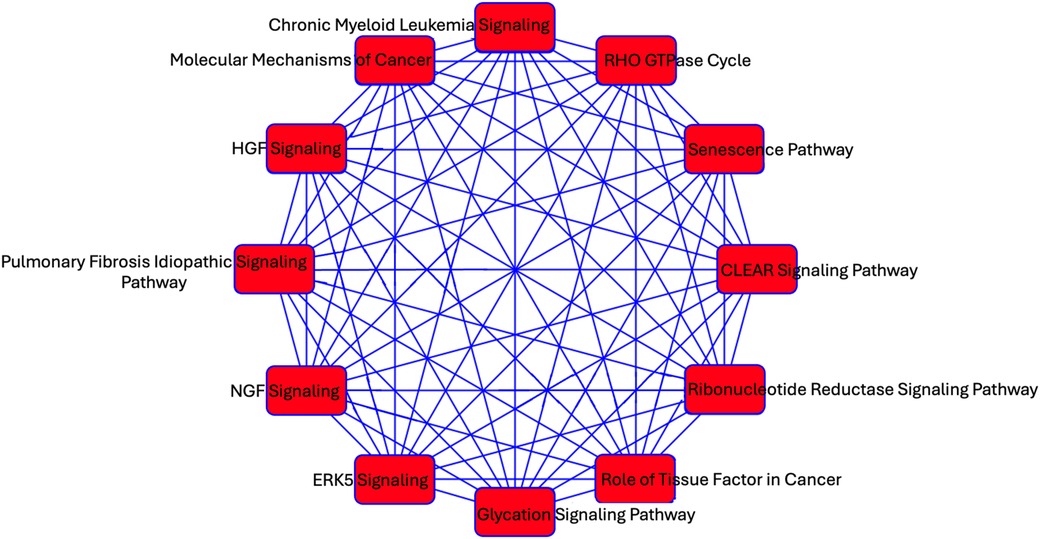Diagram showing interconnected signaling pathways and processes, including Chronic Myeloid Leukemia Signaling, Molecular Mechanisms of Cancer, and RHO GTPase Cycle. Each pathway is linked by blue lines, forming a network with red nodes.