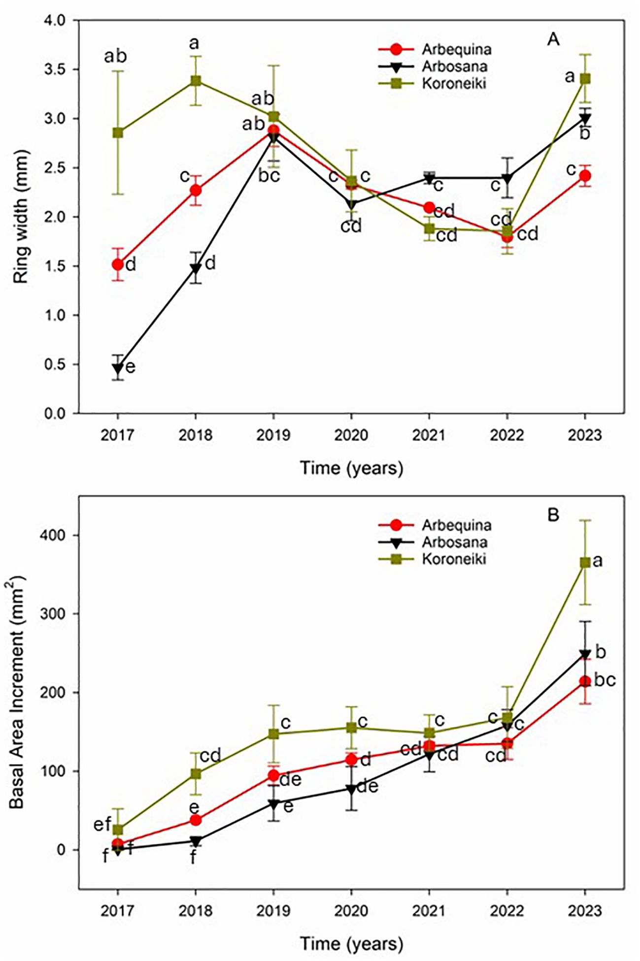 Two line graphs show growth data for Arbequina, Arbosana, and Koroneiki olive trees from 2017 to 2023. The top graph (A) displays ring width in millimeters, while the bottom graph (B) shows basal area increment in square millimeters. Each cultivar is represented by different colored symbols: red for Arbequina, black for Arbosana, and green for Koroneiki. Error bars indicate variability, and significant differences are noted by alphabetical labels next to data points. Koroneiki generally shows the highest growth across both measurements.