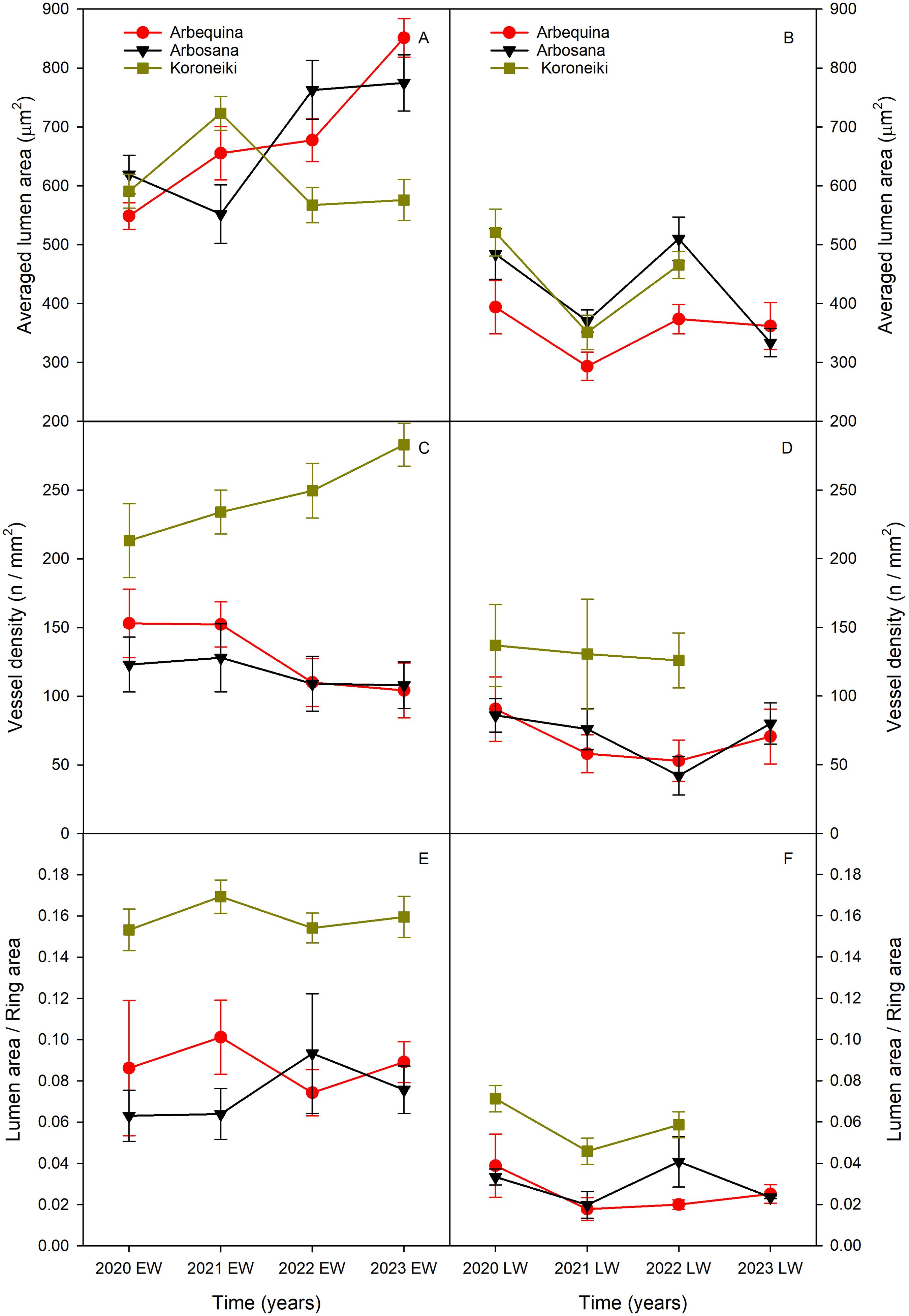 Six line graphs compare three olive cultivars: Arbequina (red circles), Arbosana (black triangles), and Koroneiki (green squares). Panels A, C, and E show data for early wood (EW) over four years, while B, D, and F display late wood (LW). Y-axes depict averaged lumen area, vessel density, and lumen area per ring area, respectively. Trends vary among cultivars across years.