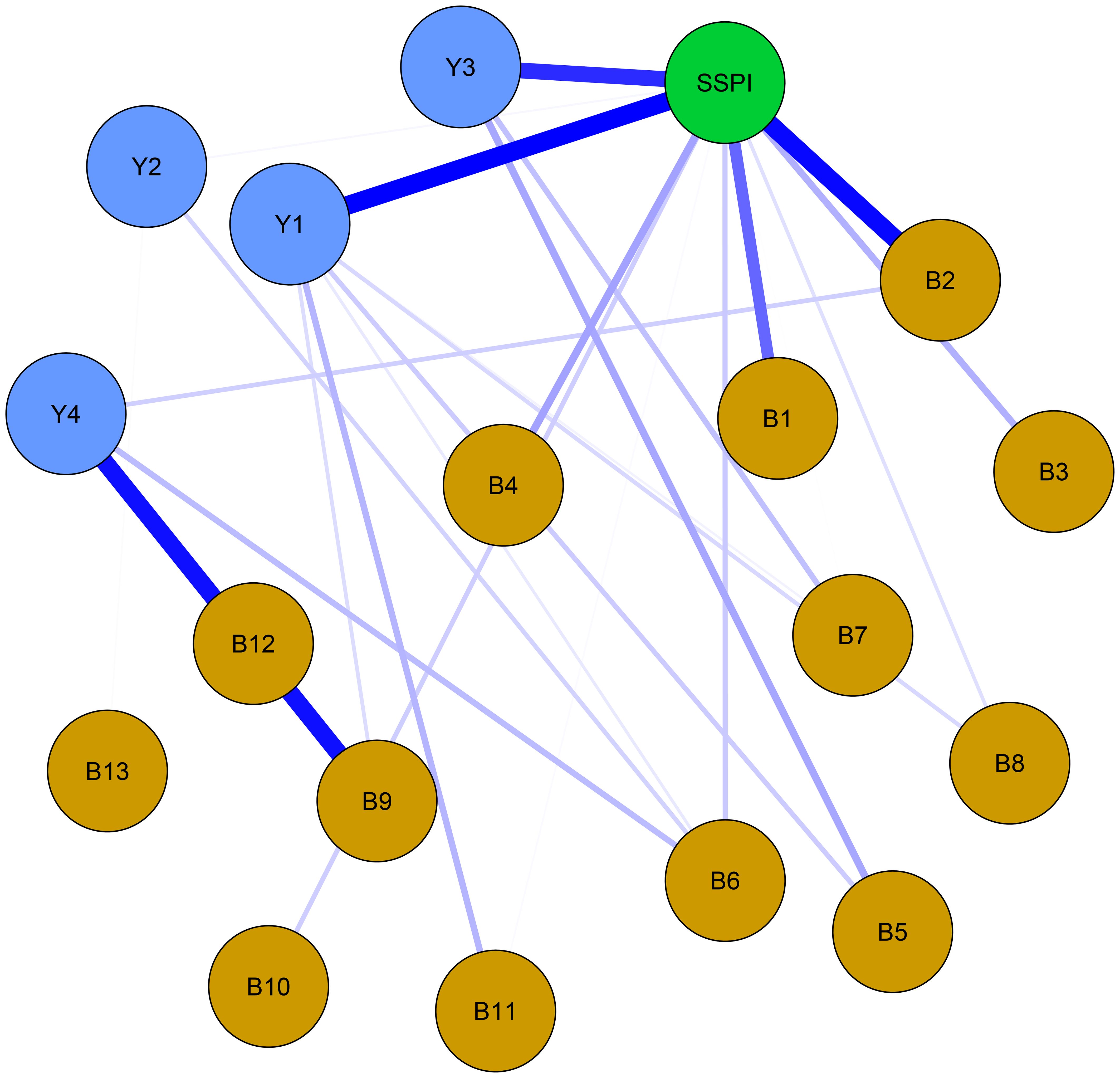 A network diagram with nodes labeled Y1 to Y4, SSPI, and B1 to B13. Blue and green represent Y and SSPI nodes, respectively, with brown for B nodes. Lines of varying thickness illustrate connections, indicating relationship strength.