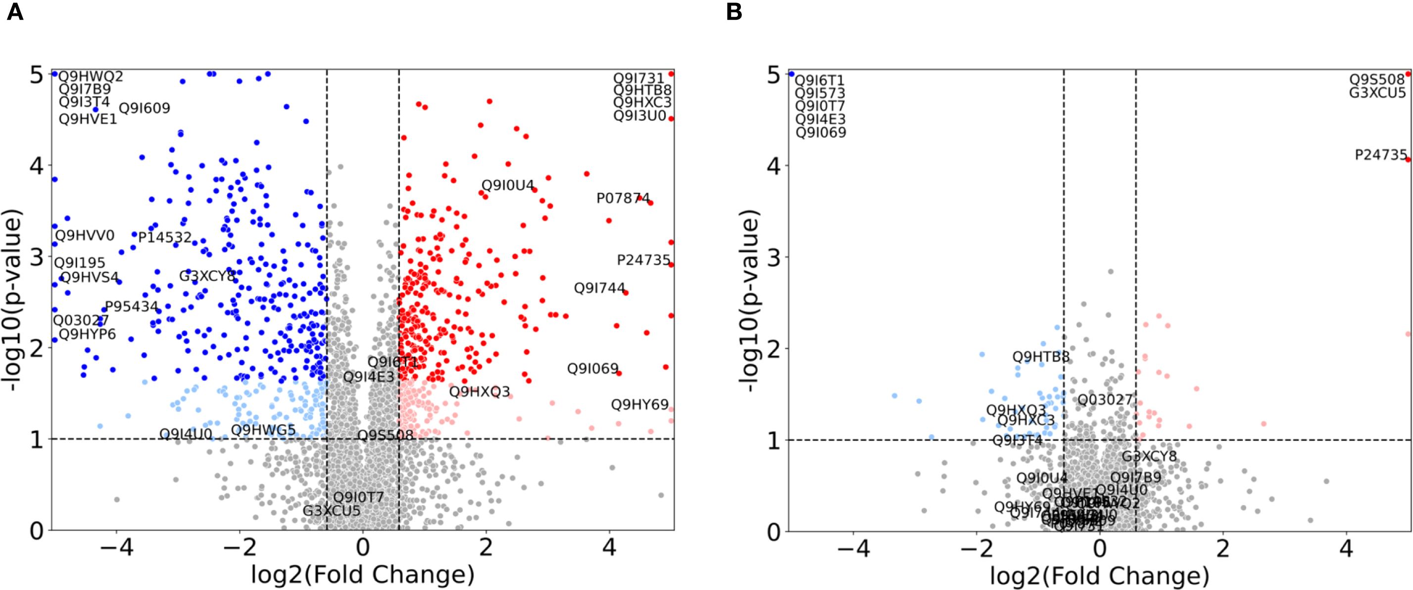 Two volcano plots labeled A and B display gene expression data with log2 fold change on the x-axis and negative log10 p-value on the y-axis. In plot A, points are mainly clustered in two regions, with blue and red points indicating significant changes. In plot B, red and blue points represent significant genes, with many names annotated at the top. Each plot has a central mass of grey points showing non-significant changes.