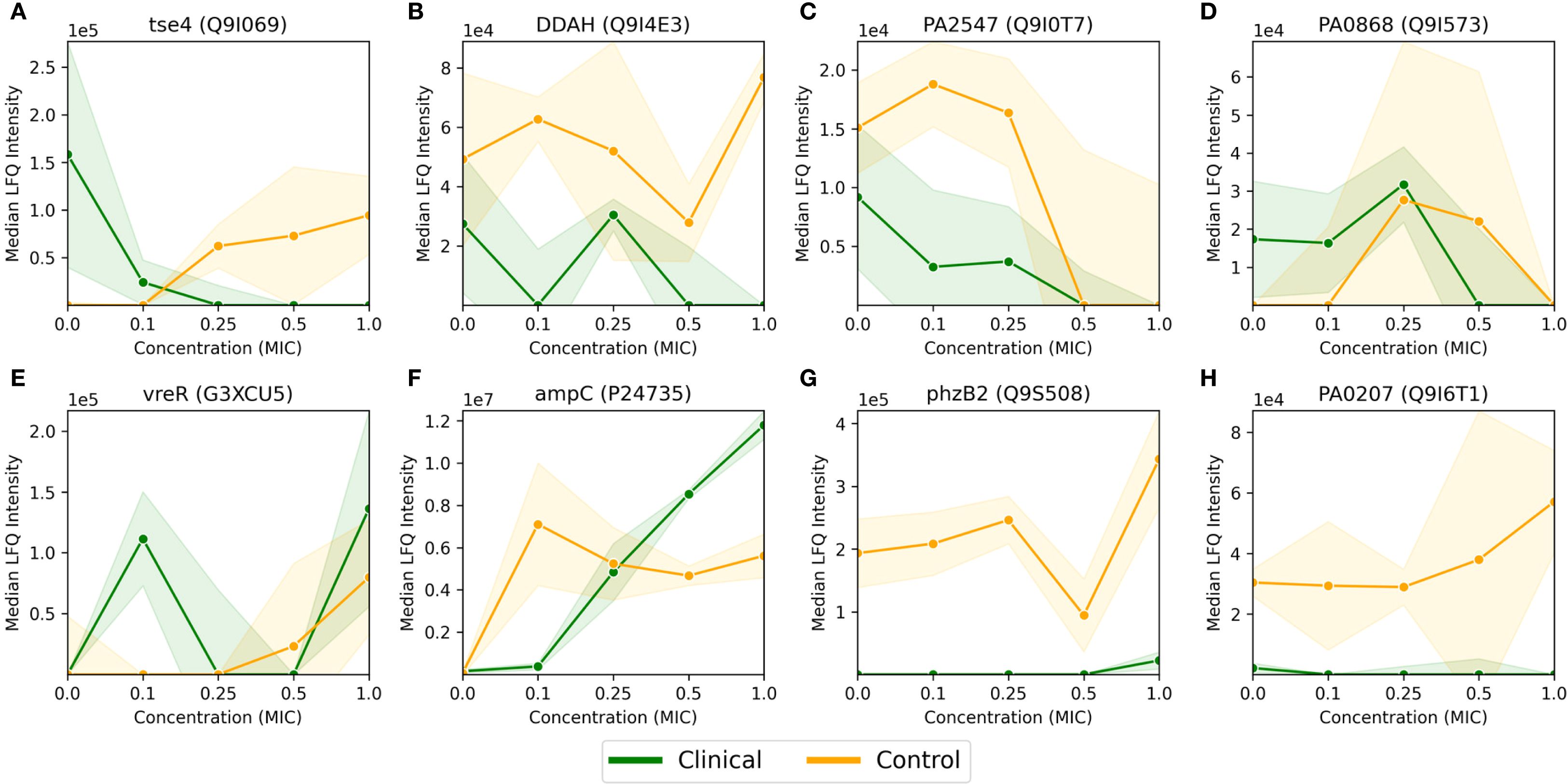 Graphs A to H depict median LFQ intensity against concentration (MIC) for various proteins. Each graph compares clinical (green line) and control (orange line) data. Shaded areas represent data variability. Graphs highlight differences in intensity and trends across concentrations for proteins tse4, DDAH, PA2547, PA0868, vreR, ampC, phzB2, and PA0207.