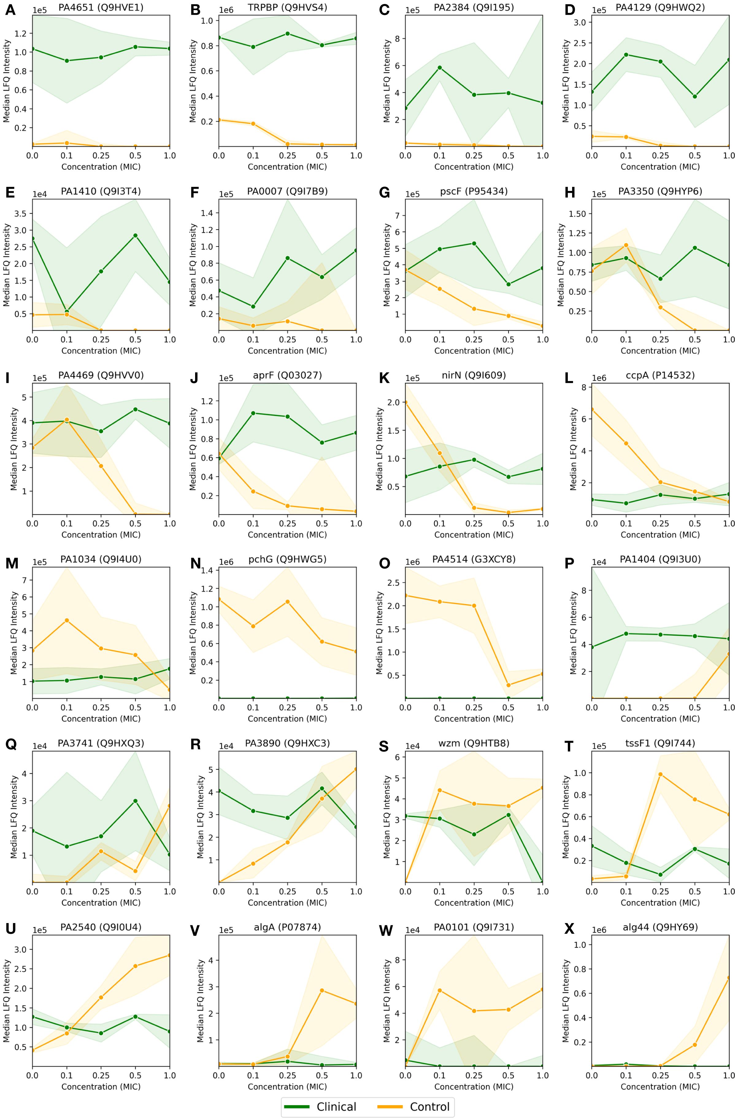 Twenty-four line graphs labeled A to X, each displaying median LFQ intensity against concentration (MIC) for different proteins. Green lines represent clinical data and yellow lines represent control data. Shaded areas indicate variability. Trends vary, showcasing differences in protein behavior under clinical and control conditions across different concentrations.