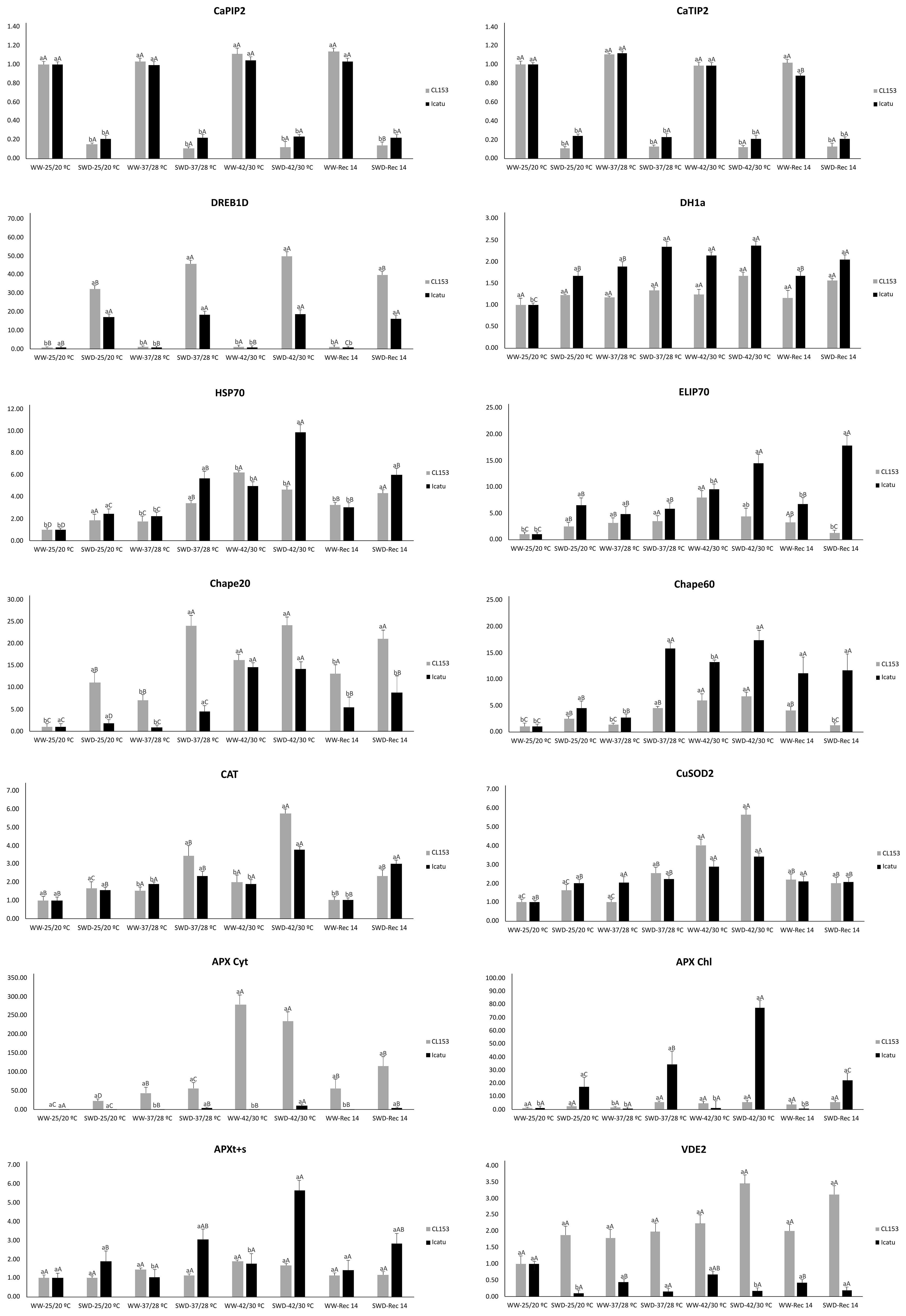 Bar charts comparing the expression levels of various genes under different conditions, labeled WS4, SM20, WS20, SM40, and WS40. Each gene panel, including CaTIP2, DREB1D, HSP70, and others, shows two categories: +C1123 and water. Black and gray bars represent each category, with variations in height indicating different expression levels.