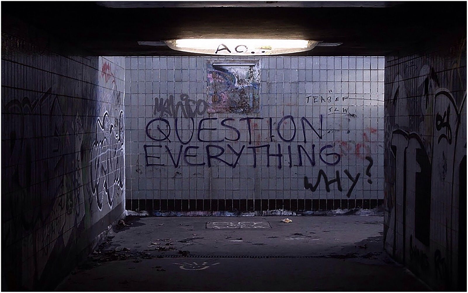 Graffiti-covered underpass with the phrase “Question Everything” and
