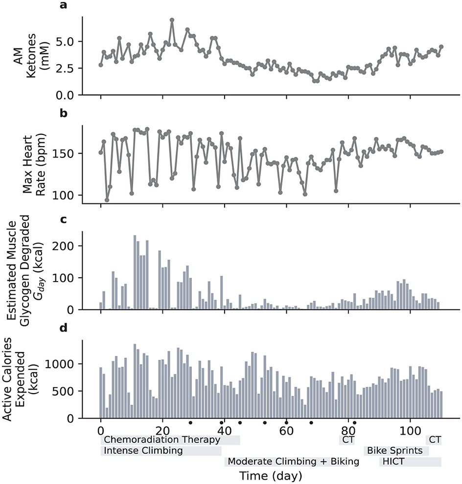 Four-panel chart showing time-based data: a) AM ketones (mM) fluctuating from 0.0 to above 5.0; b) Max heart rate (bpm) varying between 120 and 180; c) Estimated muscle glycogen degradation (kcal) with peaks around 200; d) Active calories expended (kcal) with some values near 1000. Phases include chemoradiation therapy, intense climbing, moderate climbing with biking, bike sprints, and high-intensity circuit training.