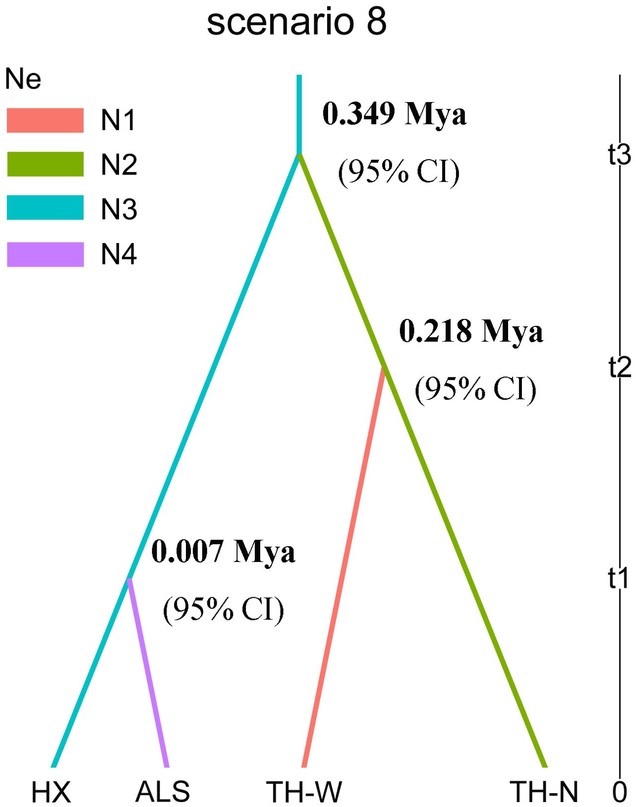 Lineage diagram labeled “scenario 8,” showing evolutionary divergence in colored lines. Cyan line splits into pink and green at 0.349 million years ago (Mya). Pink splits further into red and purple at 0.218 Mya and 0.007 Mya, respectively. Labels are HX, ALS, TH-W, TH-N with confidence intervals noted as 95 percent CI.