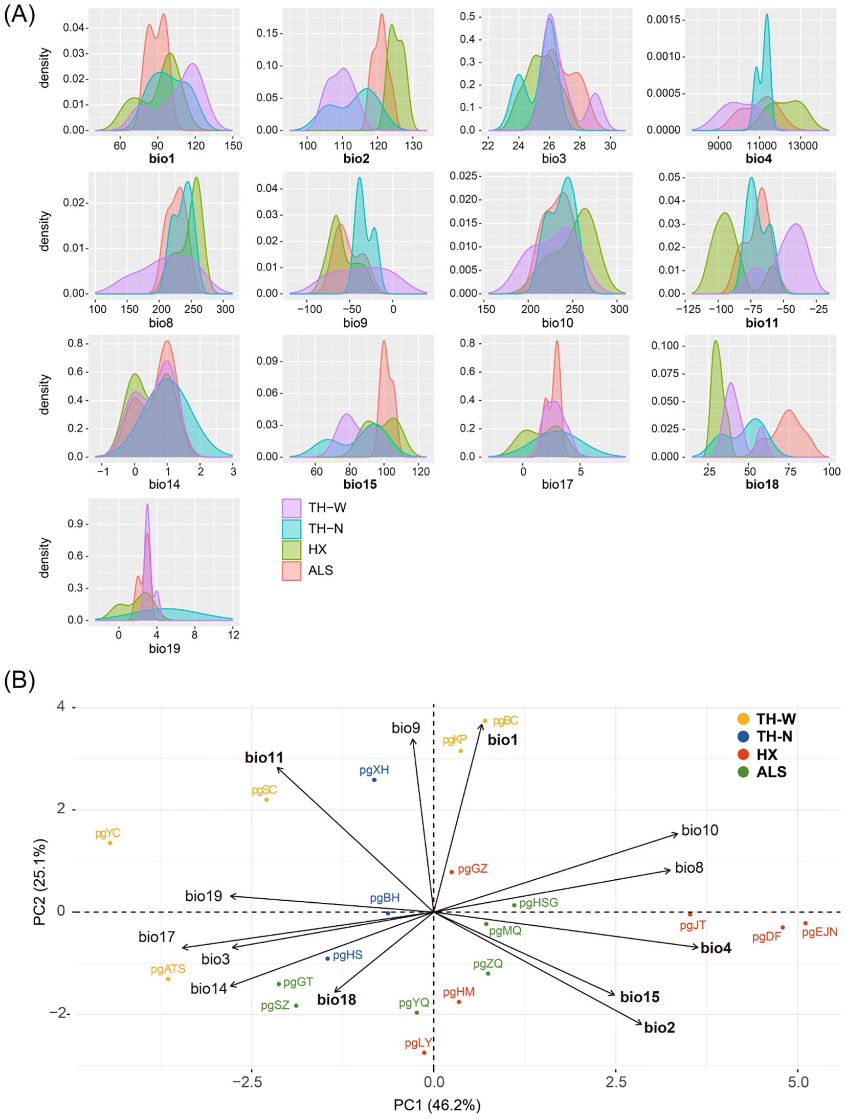 A multi-part figure includes two sections: (A) displays density plots for various bioclimatic variables (bio1 to bio19) across four groups (TH-W, TH-N, HX, ALS), each represented by a different color. (B) presents a principal component analysis (PCA) biplot with two axes, PC1 and PC2, illustrating the relationship of bioclimatic variables and different groups, also color-coded similarly.