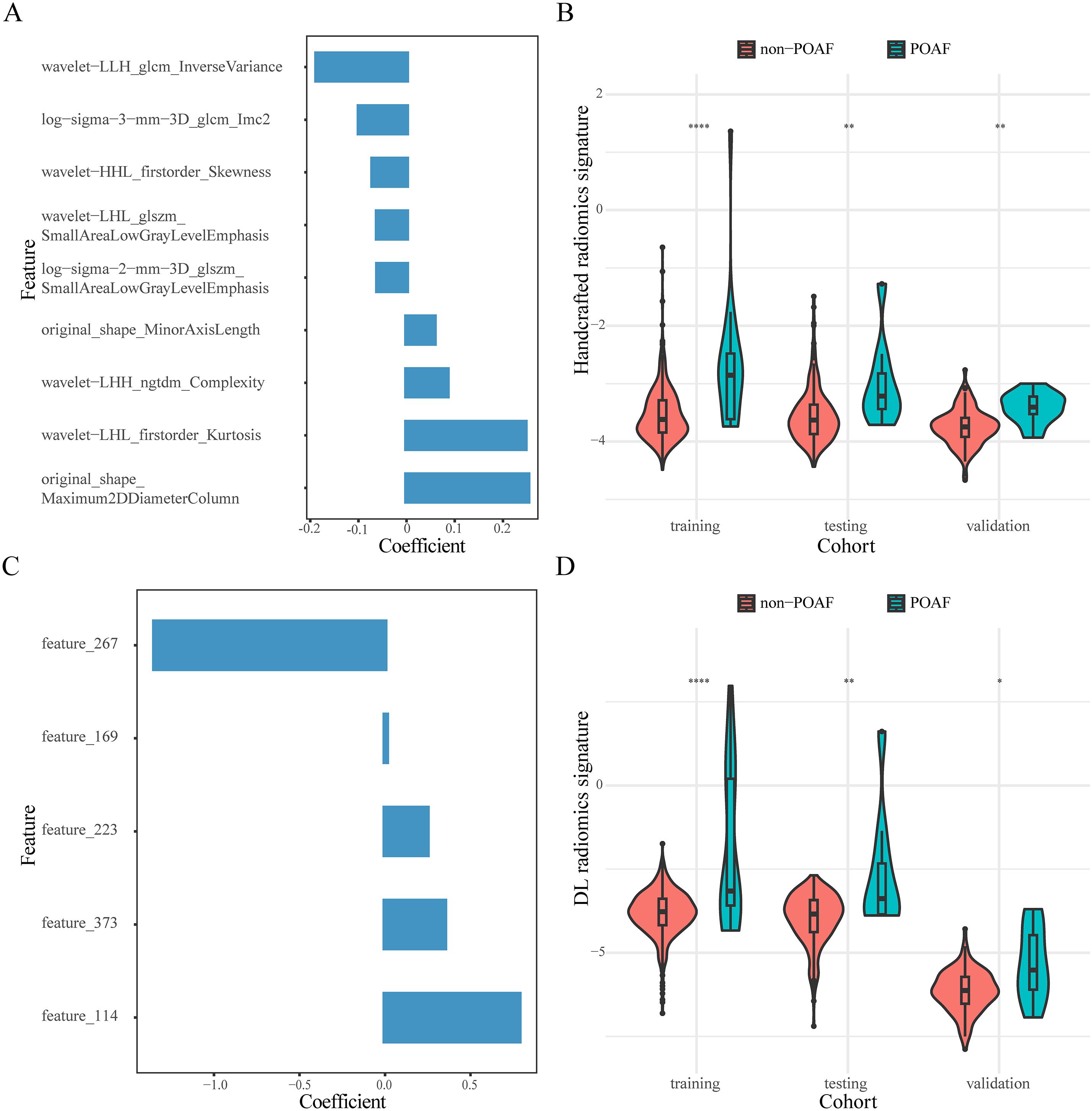 Panels A and C show bar charts of feature coefficients, with various features listed on the vertical axis and coefficients on the horizontal axis. Panels B and D depict violin plots comparing handcrafted and DL radiomics signatures between non-POAF and POAF cohorts in training, testing, and validation groups. The plots use different colors for non-POAF and POAF data points, highlighting distribution differences across groups.