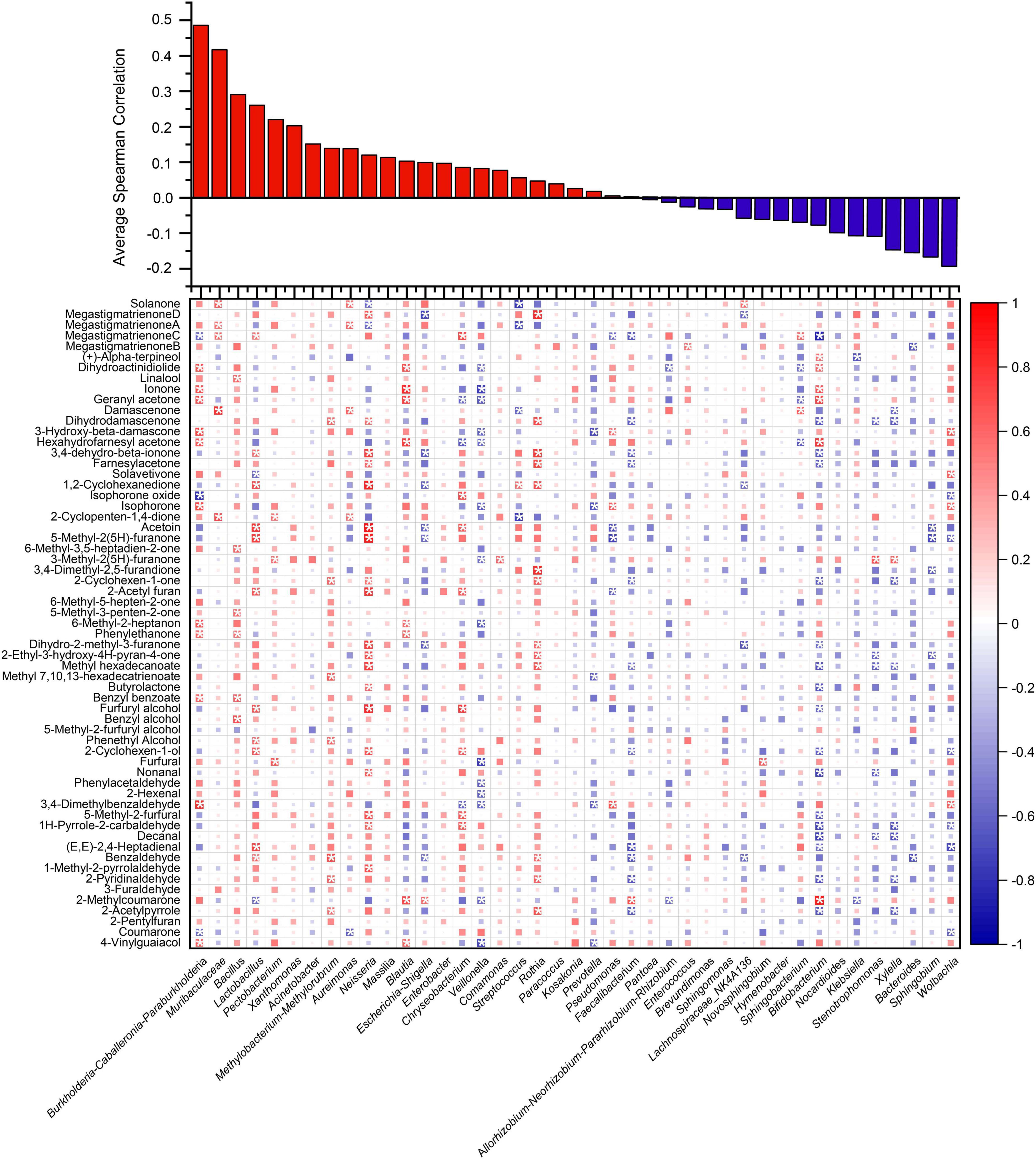 Heatmap and bar chart showing average Spearman correlations of various compounds and bacterial genera. The top bar chart displays positive correlations in red and negative correlations in blue. The heatmap below details individual correlation values with a color gradient from red (positive) to blue (negative). Compounds are listed vertically, and bacterial genera are listed horizontally.