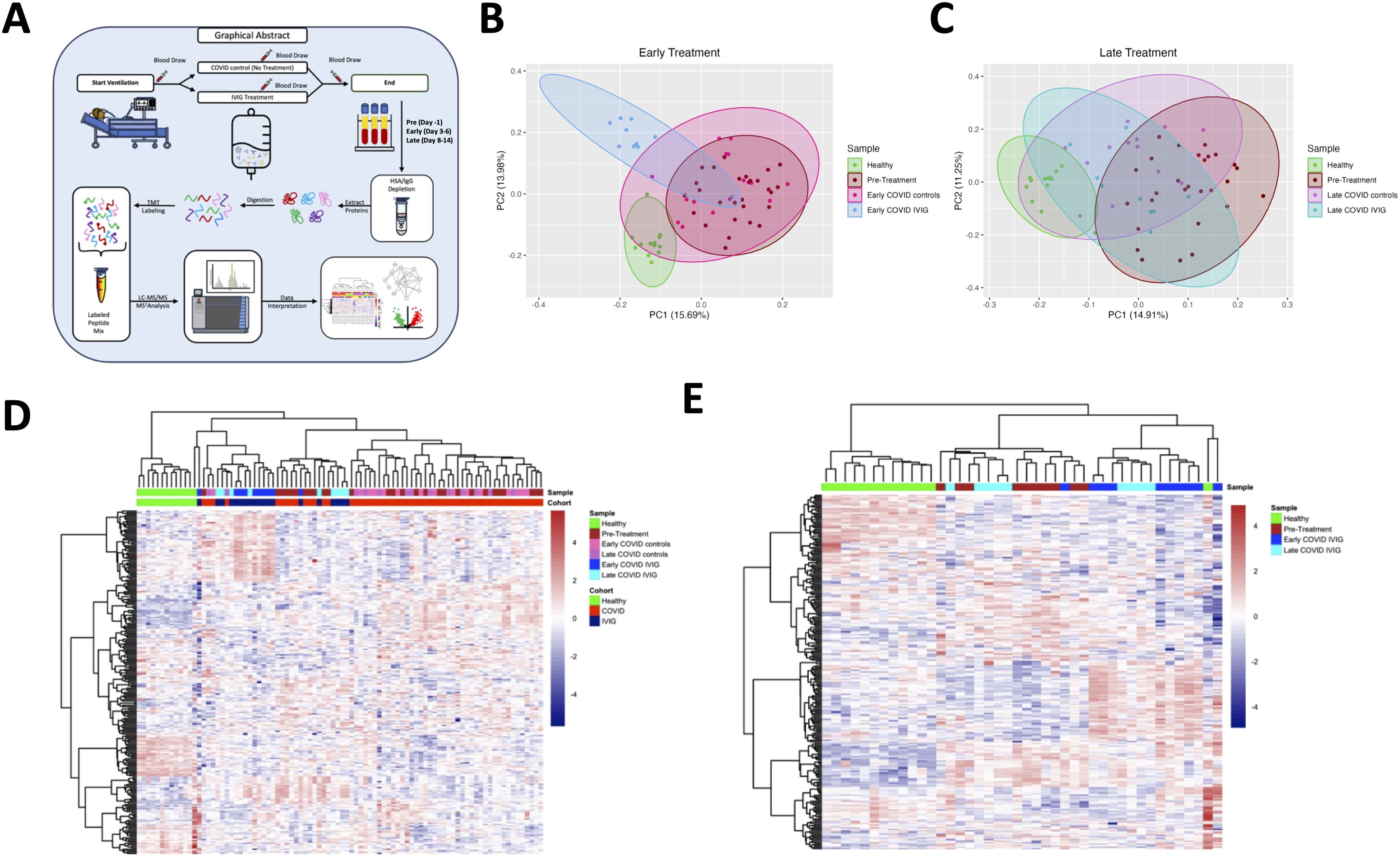 A: Diagram showing the workflow of an experiment involving blood draws, treatment, and data analysis for COVID and healthy controls. B: PCA plot for early treatment, highlighting clusters for healthy, pre-treatment, early COVID controls, and early COVID IVIG samples. C: PCA plot for late treatment, showing clusters for healthy, pre-treatment, late COVID controls, and late COVID IVIG samples. D: Heatmap of gene expression for different samples and cohorts, with color-coded samples indicating health status and treatment phase. E: Similar heatmap focusing on late treatment samples, detailing expression patterns across conditions.