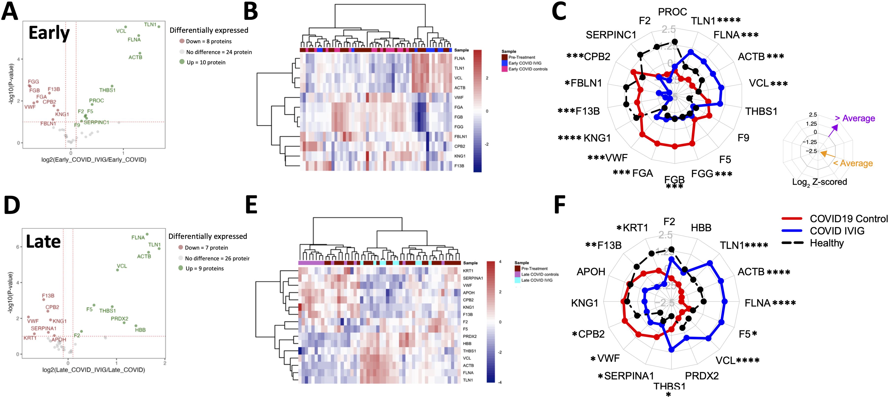Panel A shows a volcano plot of protein expression levels in early COVID versus early COVID IVIG treatment, with proteins colored based on expression differences. Panel B presents a heatmap of protein expression patterns clustered by pre-treatment, early COVID IVIG, and early COVID controls. Panel C features a radar plot comparing protein expression levels across COVID-19 control, COVID IVIG, and healthy samples. Panels D, E, and F mirror A, B, and C, respectively, focusing on late COVID versus late COVID IVIG treatment, highlighting differences in protein expression.