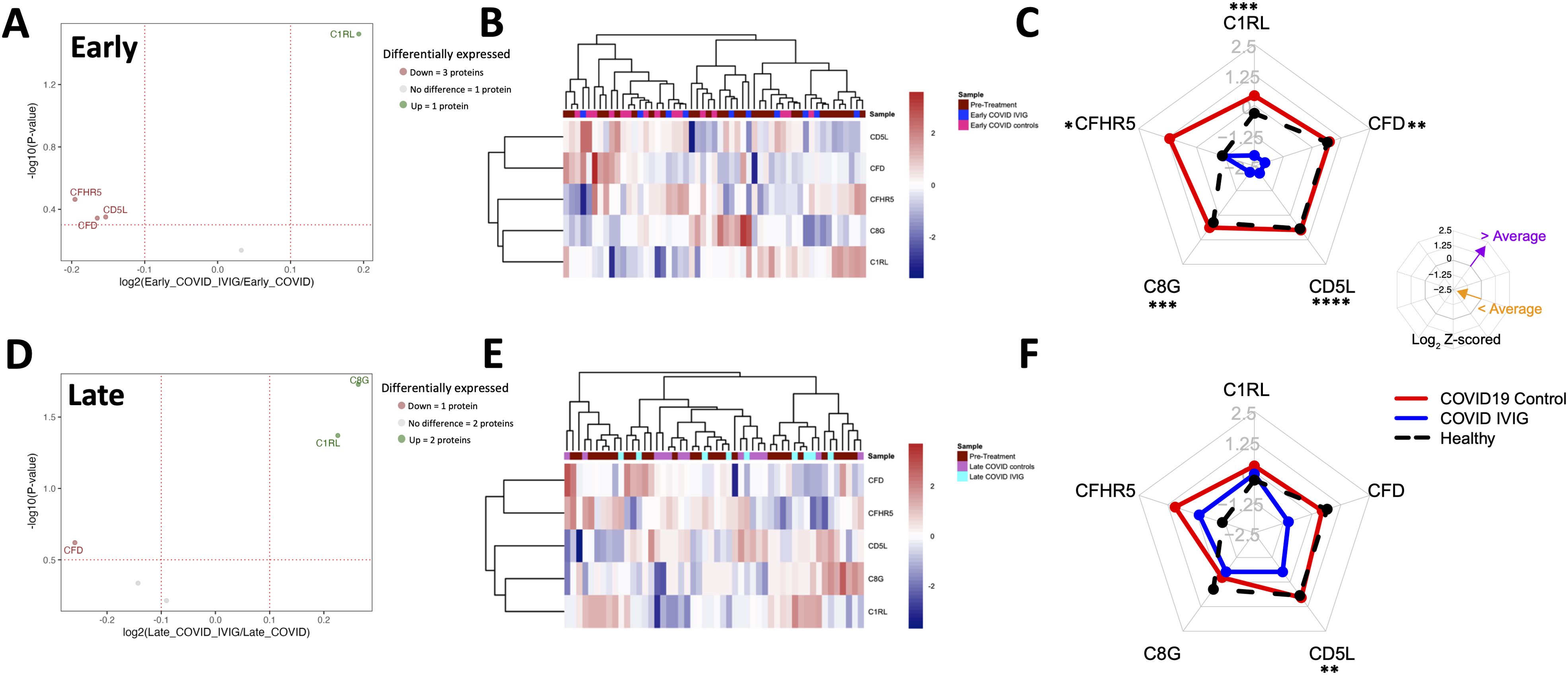 Panel A shows a volcano plot for early COVID samples comparing COVID IVIG to early COVID, indicating differentially expressed proteins. Panel B displays a heat map with hierarchical clustering of protein expression in early COVID samples. Panel C presents a radar plot illustrating z-scores of protein expression in early COVID, COVID IVIG, and healthy controls. Panel D is a volcano plot for late COVID samples comparing COVID IVIG to late COVID, indicating differentially expressed proteins. Panel E shows a heat map with hierarchical clustering of protein expression in late COVID samples. Panel F provides a radar plot illustrating z-scores of protein expression in late COVID, COVID IVIG, and healthy controls.