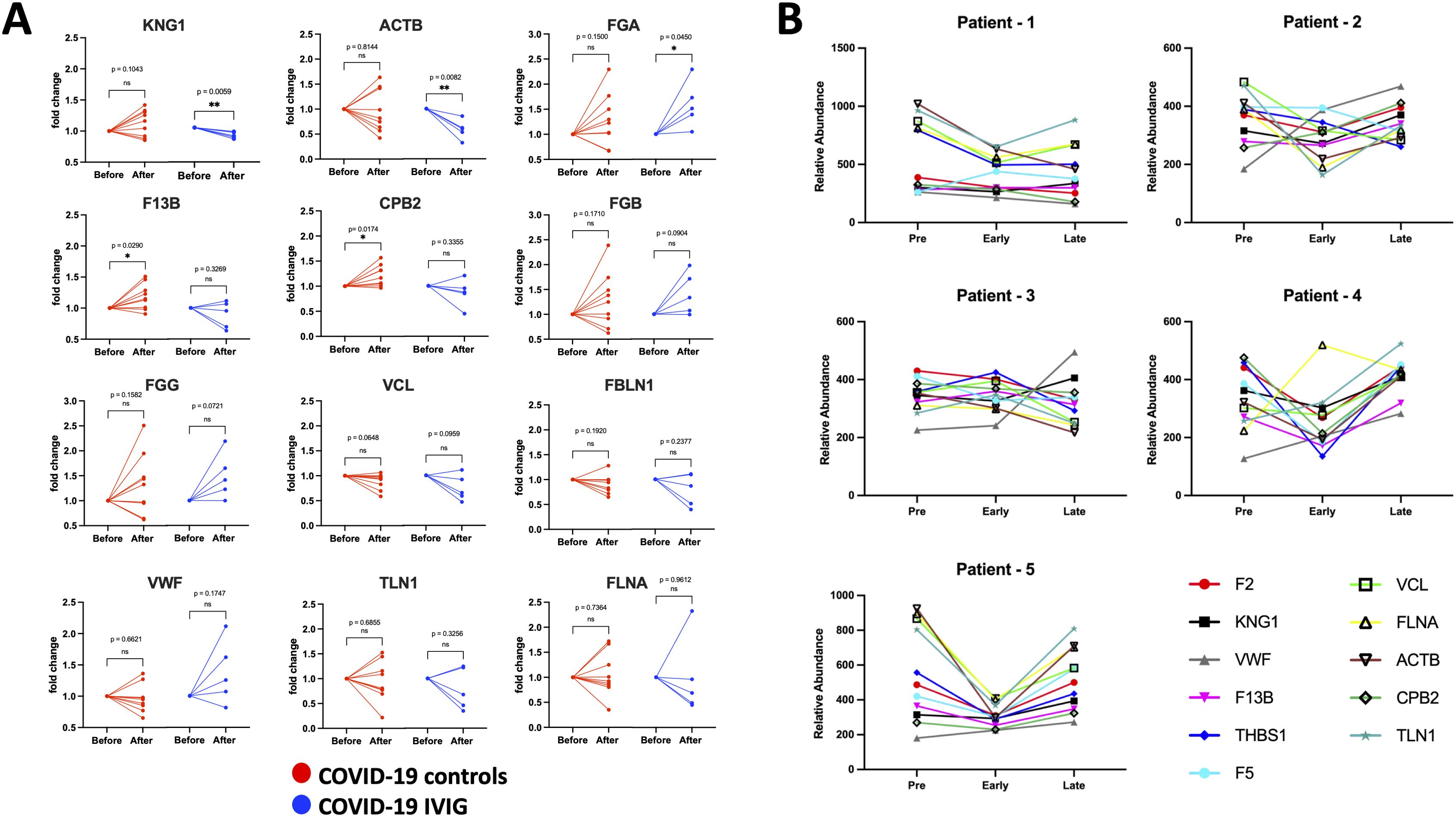 Panel A shows fold changes in protein levels before and after treatment in COVID-19 controls and COVID-19 IVIG patients for several proteins, with p-values indicating significance. Panel B displays line graphs of relative protein abundance across different time points (Pre, Early, Late) for five different patients, each line representing a different protein.