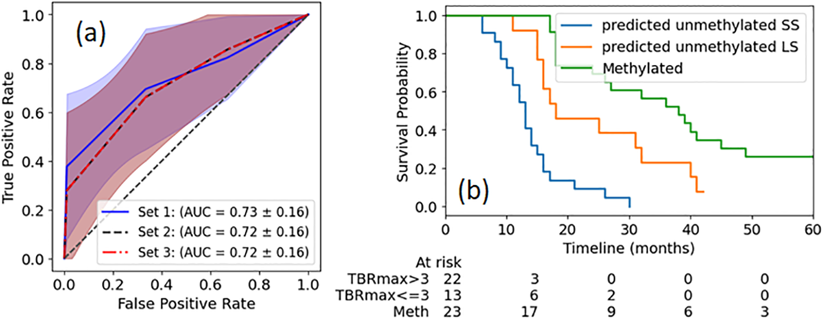 Panel (a) displays a ROC curve comparing three data sets, with AUC values around 0.72 to 0.73. Panel (b) shows a Kaplan-Meier survival plot with three lines for predicted unmethylated SS, LS, and methylated groups over 60 months. The 'at risk' table is below, showing decreasing numbers across timelines.