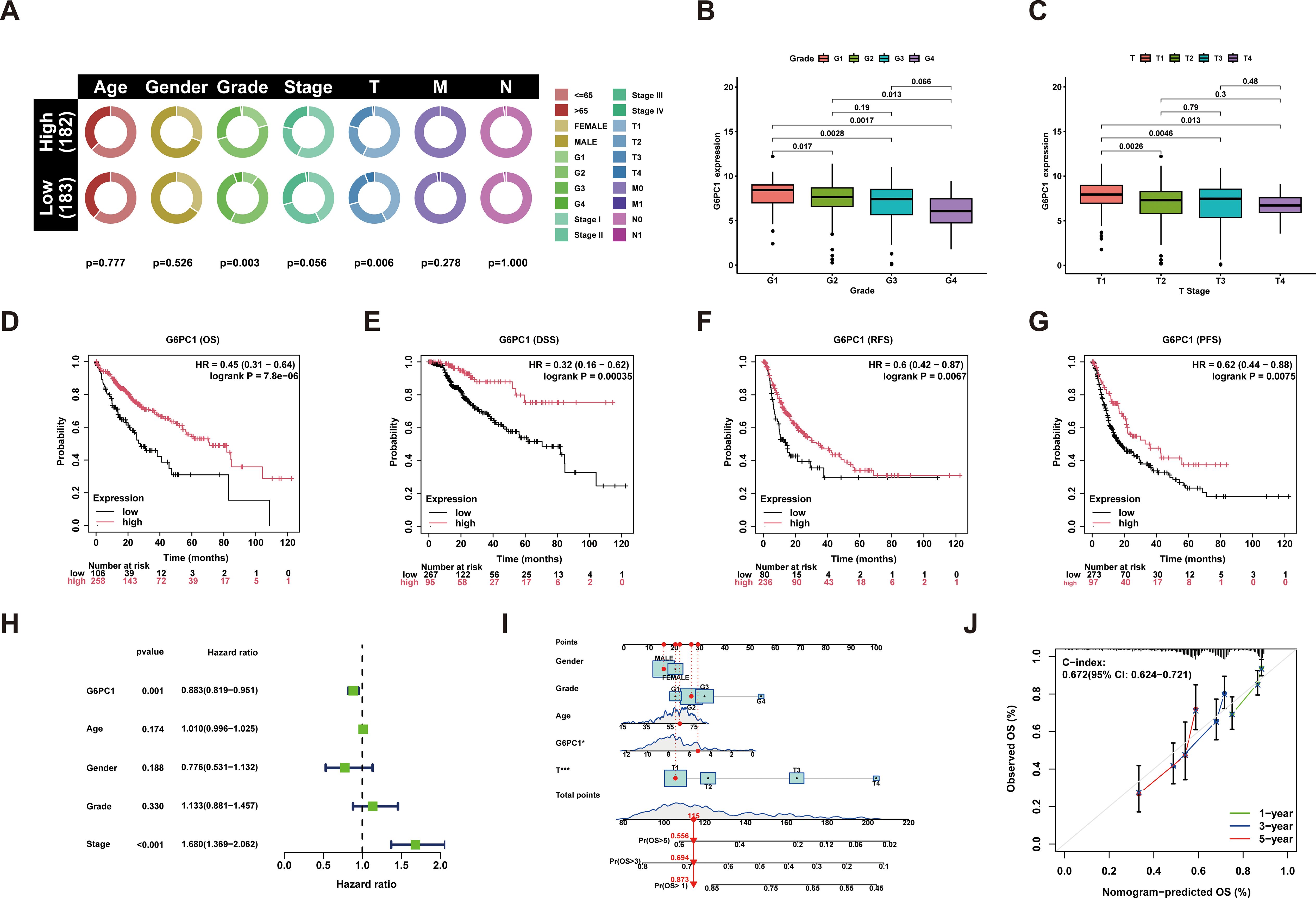 A composite of various charts and graphs analyzing G6PC1 expression levels related to cancer prognosis. Panel A features circular plots comparing patient groups by age, gender, grade, stage, and TNM classification. Panels B and C are box plots showing G6PC1 expression across different grades and T stages. Panels D to G are survival curves depicting overall survival (OS), disease-specific survival (DSS), relapse-free survival (RFS), and progression-free survival (PFS), with hazard ratios (HR) and significance values noted. Panel H is a forest plot showing hazard ratios for different variables. Panel I is a nomogram with associated points for predictions. Panel J shows a calibration plot assessing nomogram predictions against observed overall survival (OS) over one, three, and five years.