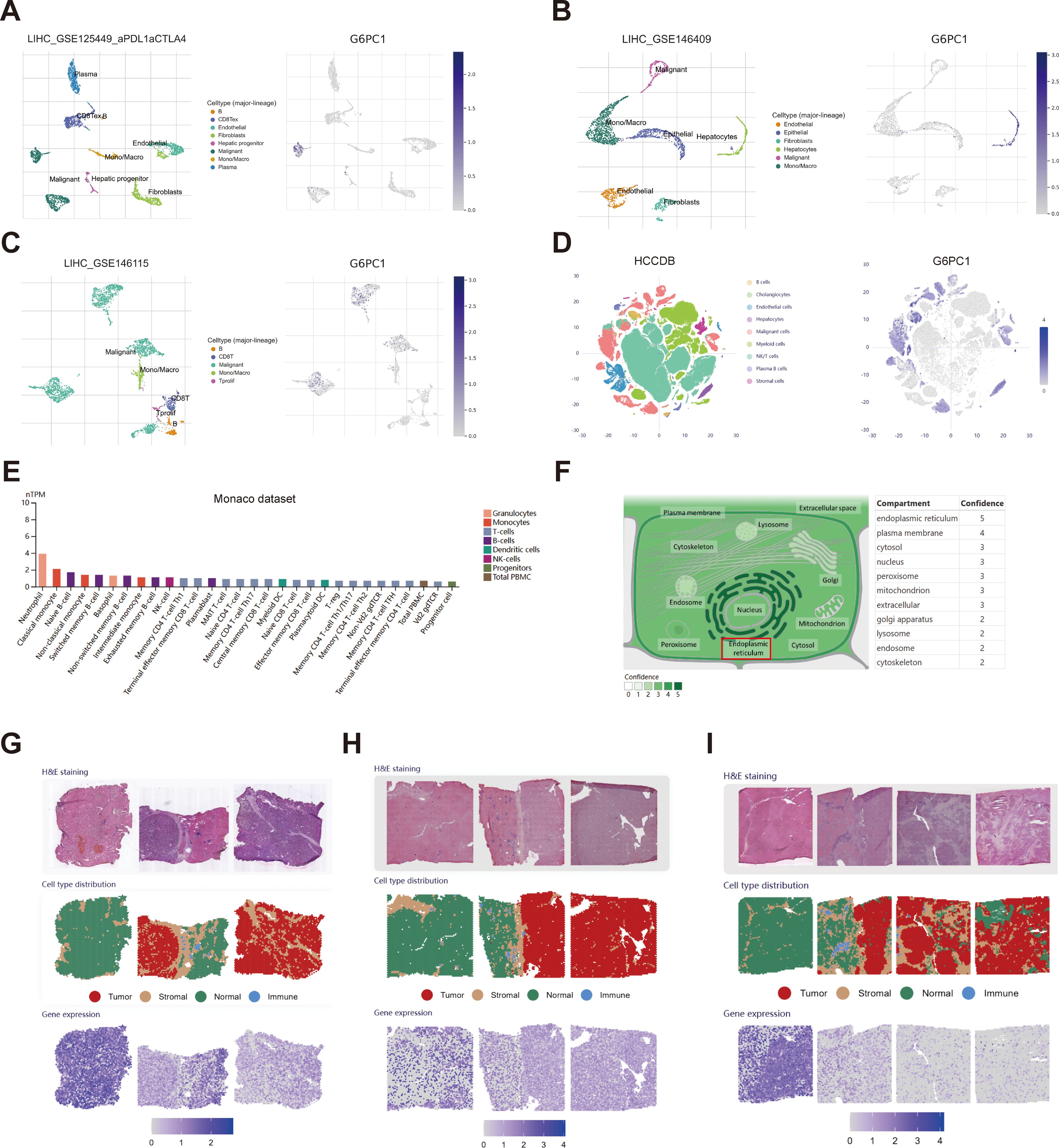 A series of scientific diagrams and charts depict biological data. Panels A, B, C, and D show various scatter plots of cell types and gene expression data. Panel E features a bar chart of cell type distribution in the Monaco dataset. Panel F provides a diagram of cellular compartments with confidence levels. Panels G, H, and I illustrate H&E staining images, cell type distribution maps, and gene expression heatmaps for tissue samples.