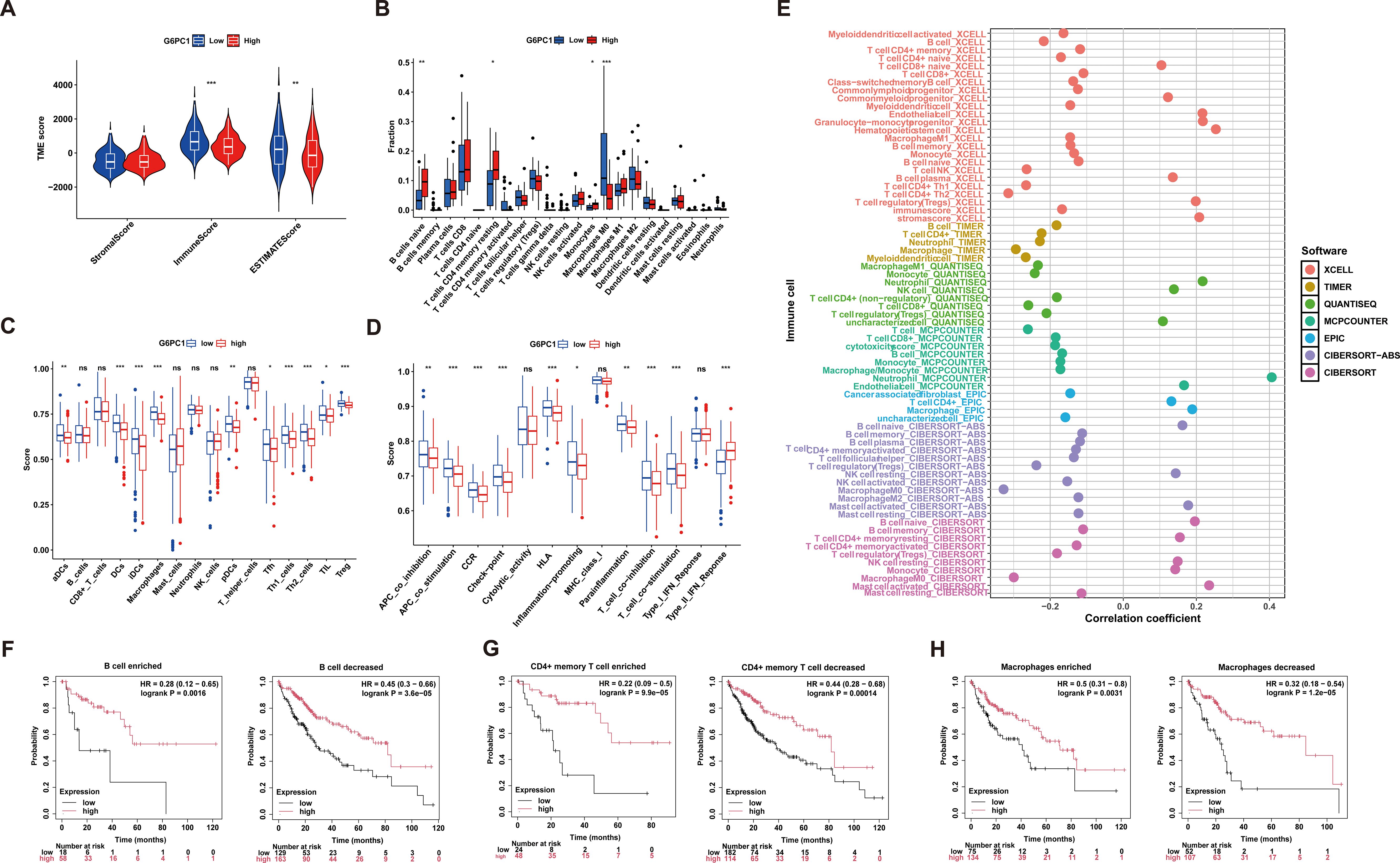 The image contains multiple panels with various data visualizations related to immune cells and gene expression. Panels A to D show violin plots and box plots comparing scores and fractions of different immune cell types between low and high G6PC1 expression groups. Panel E displays a dot plot of correlation coefficients for immune cell types using different software tools. Panels F to H present Kaplan-Meier survival curves for different immune cell types enriched or decreased, showing hazard ratios and p-values. Each panel includes detailed statistics and labels for clarity.