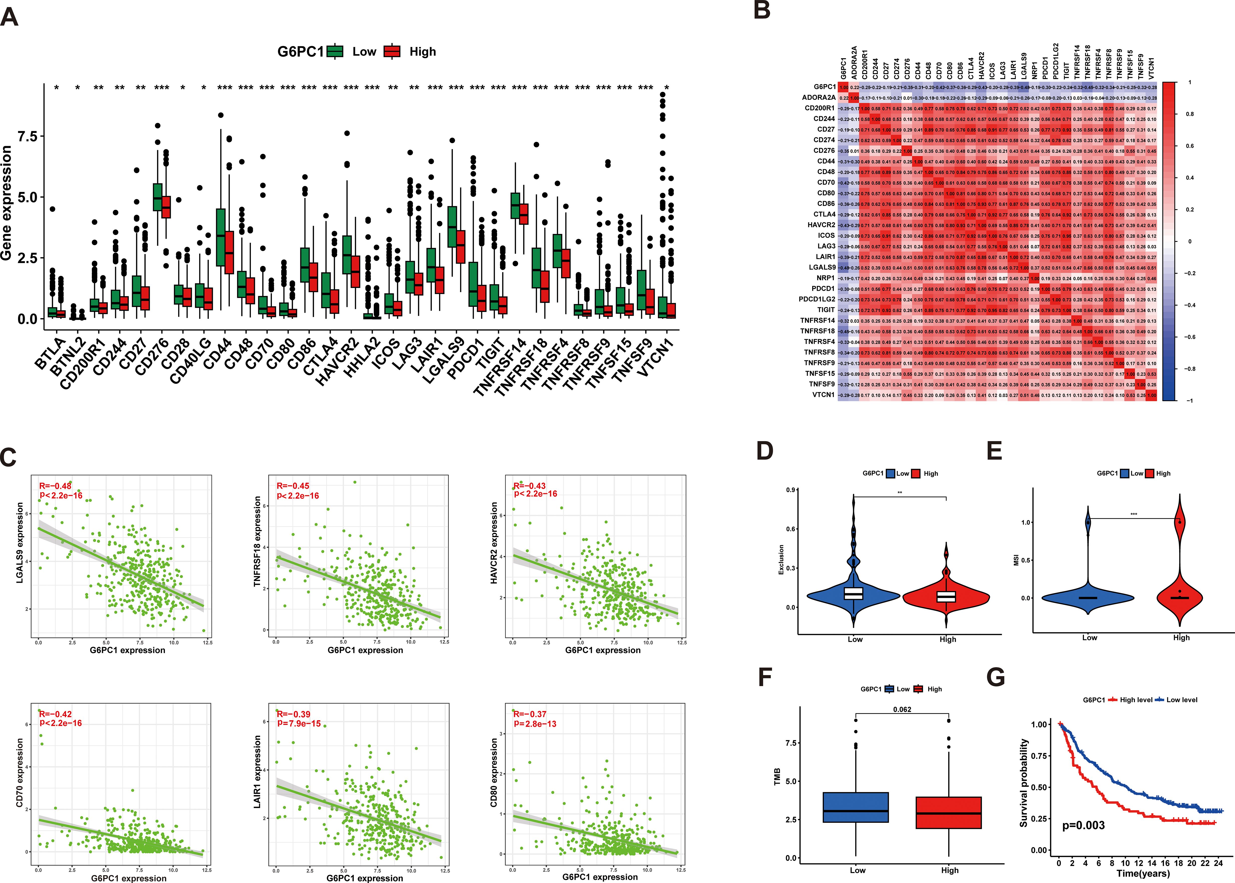A composite of several graphs and charts analyzing G6PC1 expression. Panel A shows box plots comparing gene expression levels between low and high G6PC1 groups across various genes. Panel B features a heatmap of gene correlations. Panel C includes scatter plots showing negative correlations between G6PC1 and other genes. Panels D and E display violin plots comparing expression levels and a metric labeled MBII between low and high G6PC1 groups. Panel F shows a box plot of TMB levels between these groups. Panel G presents a Kaplan-Meier survival curve comparing survival probabilities based on G6PC1 expression levels, with a significant p-value.