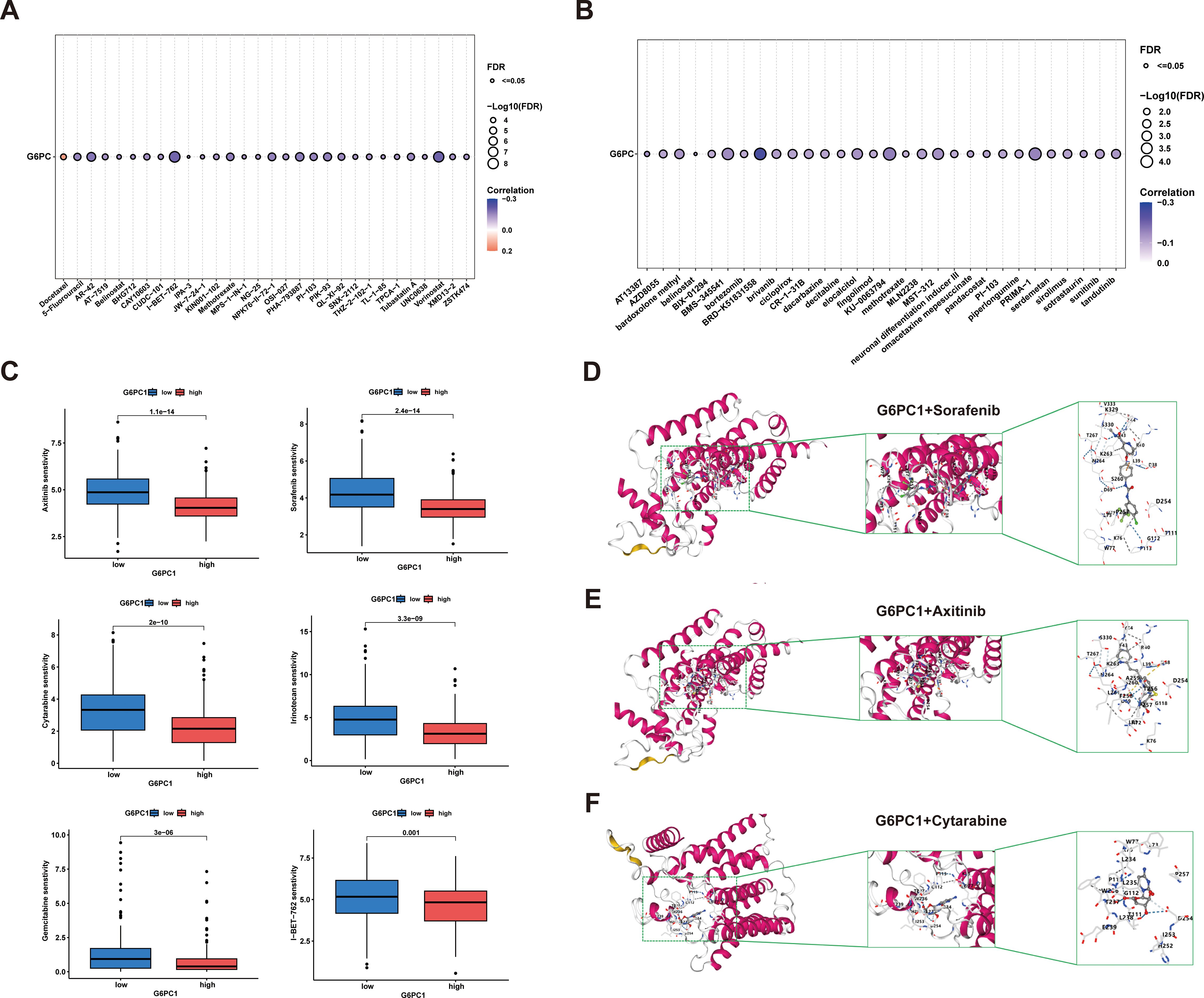 A: Bubble chart showing correlations of G6PC with various factors. Larger bubbles indicate greater significance. B: Similar bubble chart focusing on FDR values. C: Six box plots depicting the impact of G6PC expression on drug sensitivities, comparing low and high G6PC groups. D-F: Molecular structures showing interactions of G6PC with Sorafenib, Axitinib, and Cytarabine, highlighting specific interaction sites.