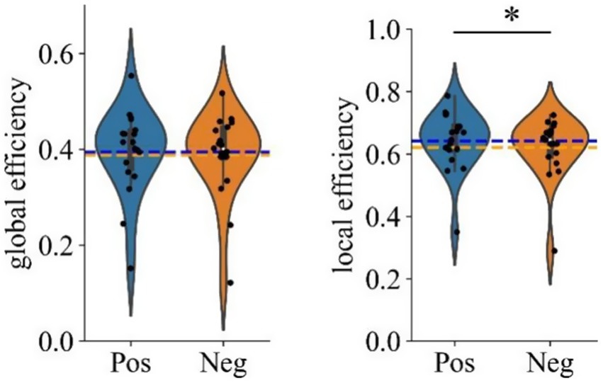 Violin plots comparing global and local efficiency for positive (Pos) and negative (Neg) groups. Global efficiency shows slight differences between both groups, while local efficiency shows higher values for Pos. Horizontal dashed lines indicate mean values, with asterisk marking statistical significance.