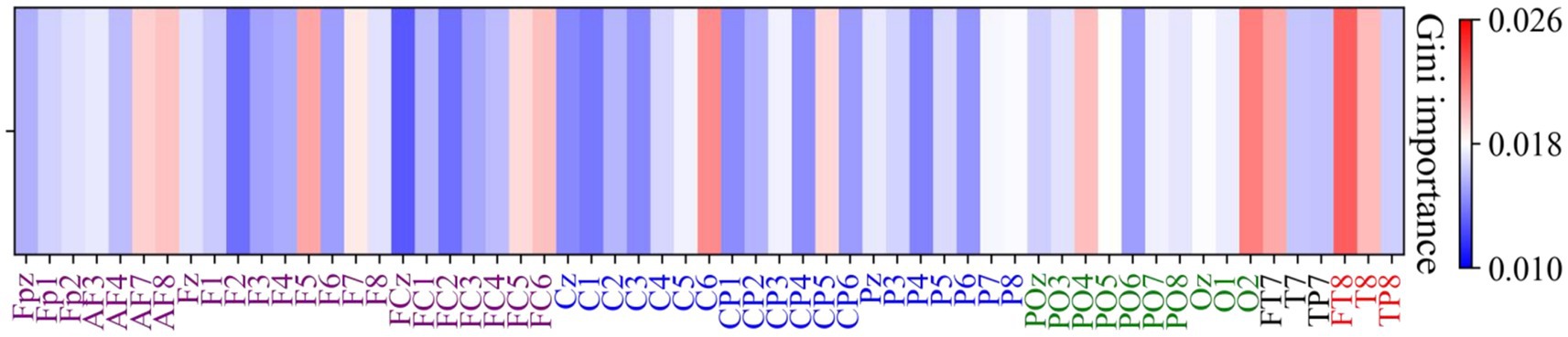 Heatmap showing Gini importance values for different features, labeled along the x-axis with names like Fpz, Fp1, AF3, through TP8. The color gradient ranges from blue to red, indicating varying levels of importance from 0.010 to 0.026.
