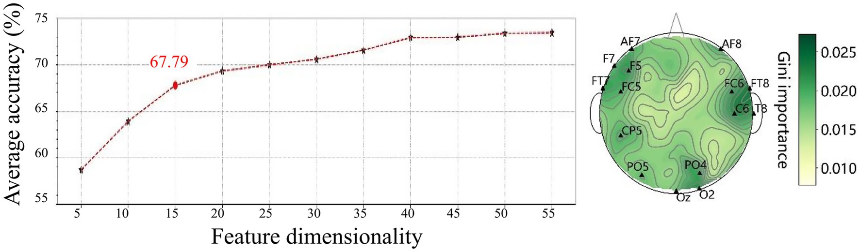 Graph comparing average accuracy to feature dimensionality, showing a trend of increasing accuracy peaking at 67.79% with increased dimensionality. Beside it, a topographic head map illustrates Gini importance levels from light to dark green, highlighting areas with labeled points such as F7 and AF8.