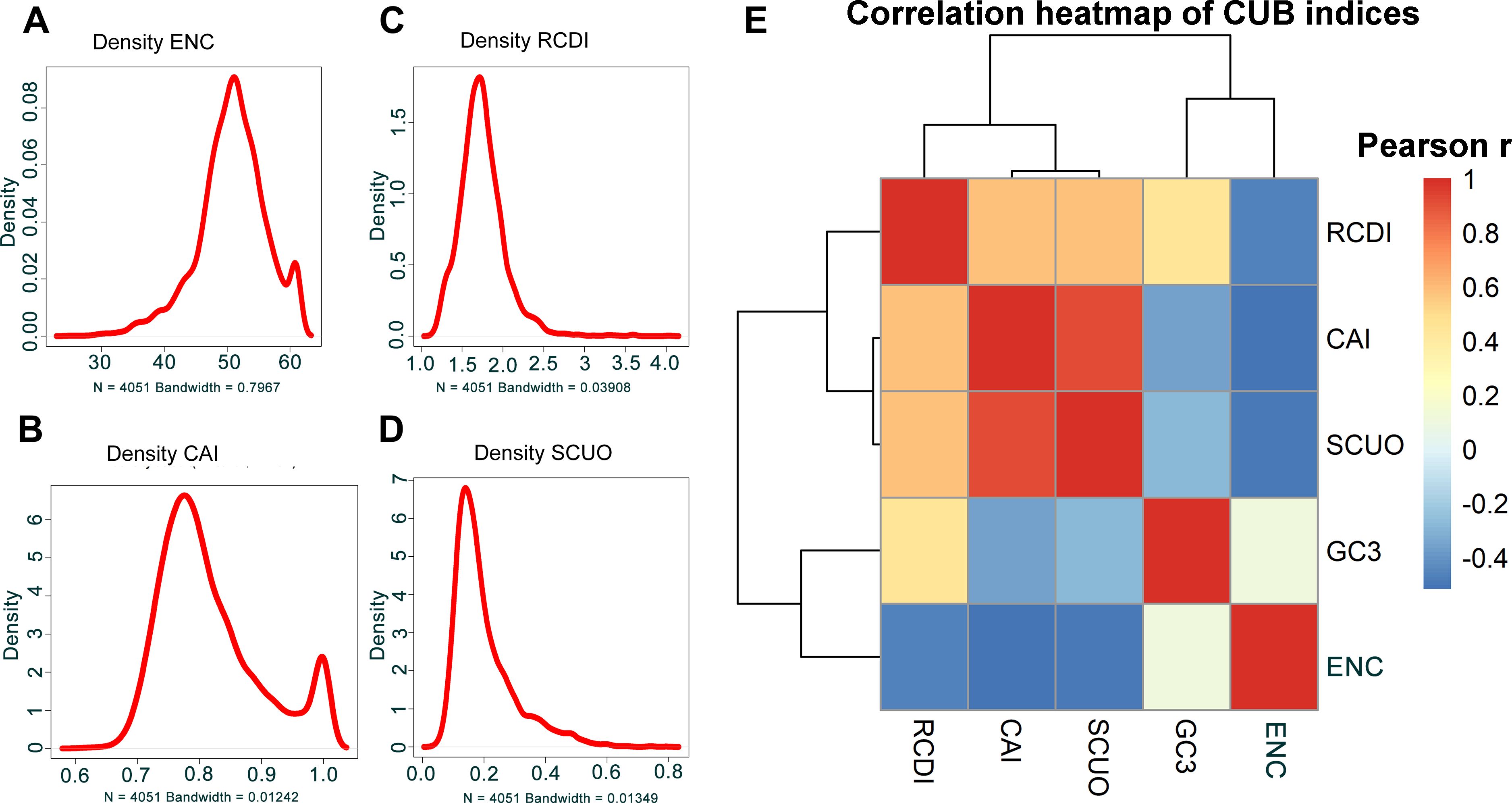 Four density plots labeled A to D represent ENC, CAI, RCDI, and SCUO with varying bandwidths. Plot E is a heat map depicting correlations amongst RCDI, CAI, SCUO, GC3, and ENC, using a color scale from blue to red, indicating correlation strength.