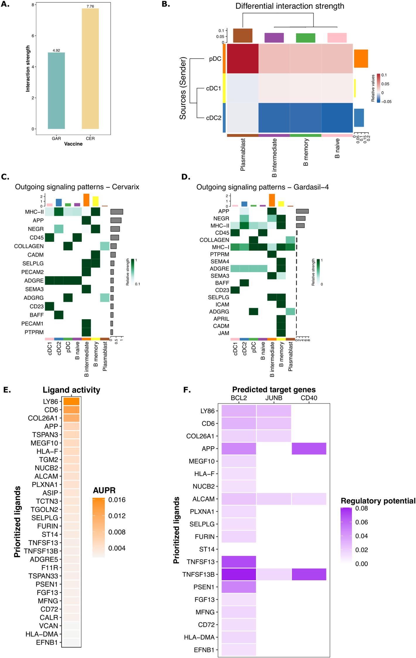 Panel A shows a bar graph comparing interaction strength for two vaccines, Gardasil (4.92) and Cervarix (7.76). Panel B presents a heatmap depicting differential interaction strength of sources like pDC, cDC1, and cDC2 with various B cell subsets. Panels C and D display outgoing signaling patterns for Cervarix and Gardasil-4, respectively, with heatmaps showing relative strengths. Panel E illustrates ligand activity with a heatmap, highlighting prioritized ligands. Panel F shows predicted target genes with a heatmap, indicating regulatory potential of various ligands, associated with genes BCL2, JUNB, and CD40.