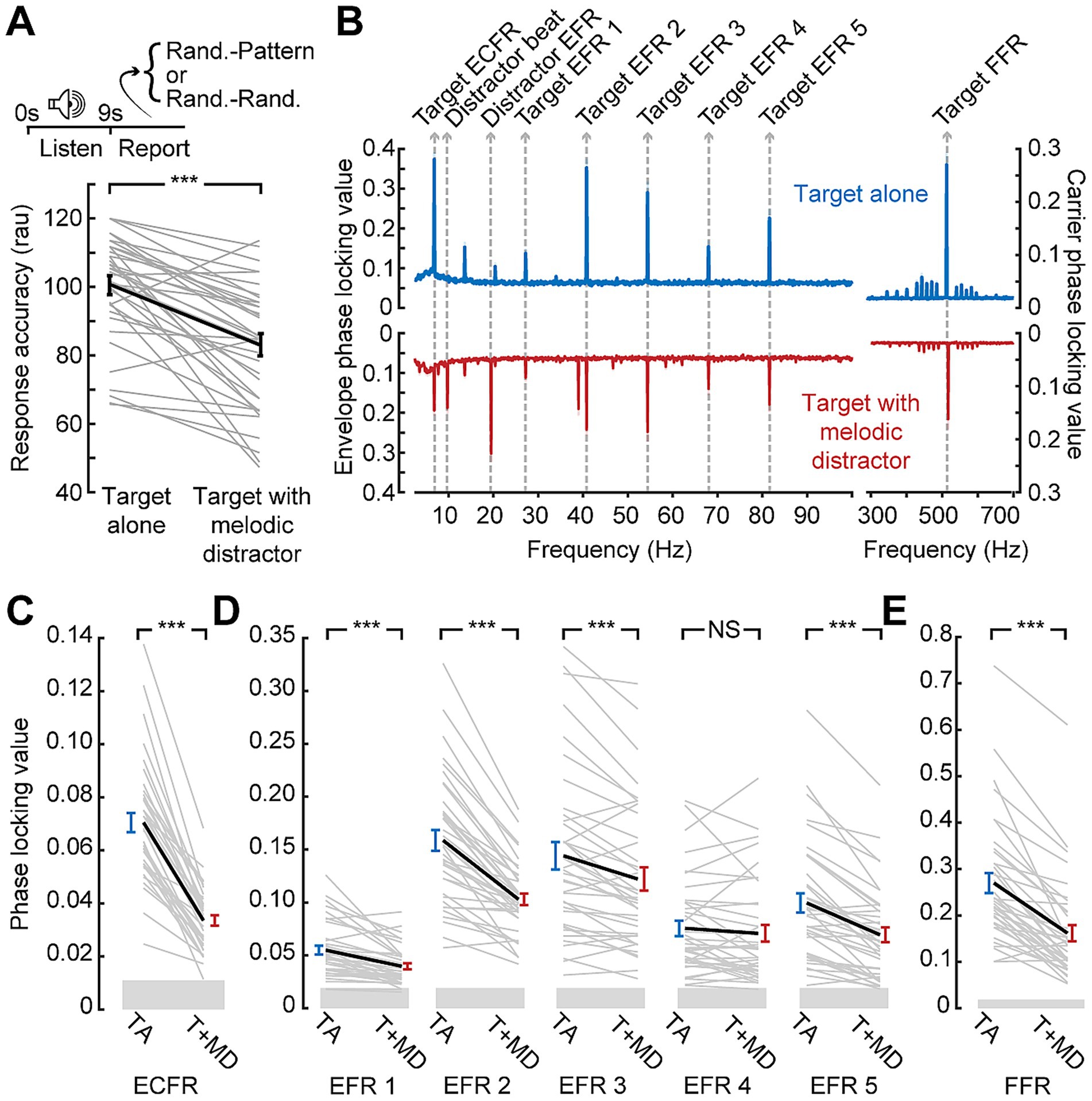 Graphs depicting auditory response data. Panel A shows response accuracy decreasing with a melodic distractor. Panel B presents frequency-based envelope phase locking values, comparing target alone and with distractor. Panels C to E display phase locking values across different frequency ranges, each showing significant decreases with distractors, except EFR 3, labeled NS for not significant. Error bars and individual data points are included.