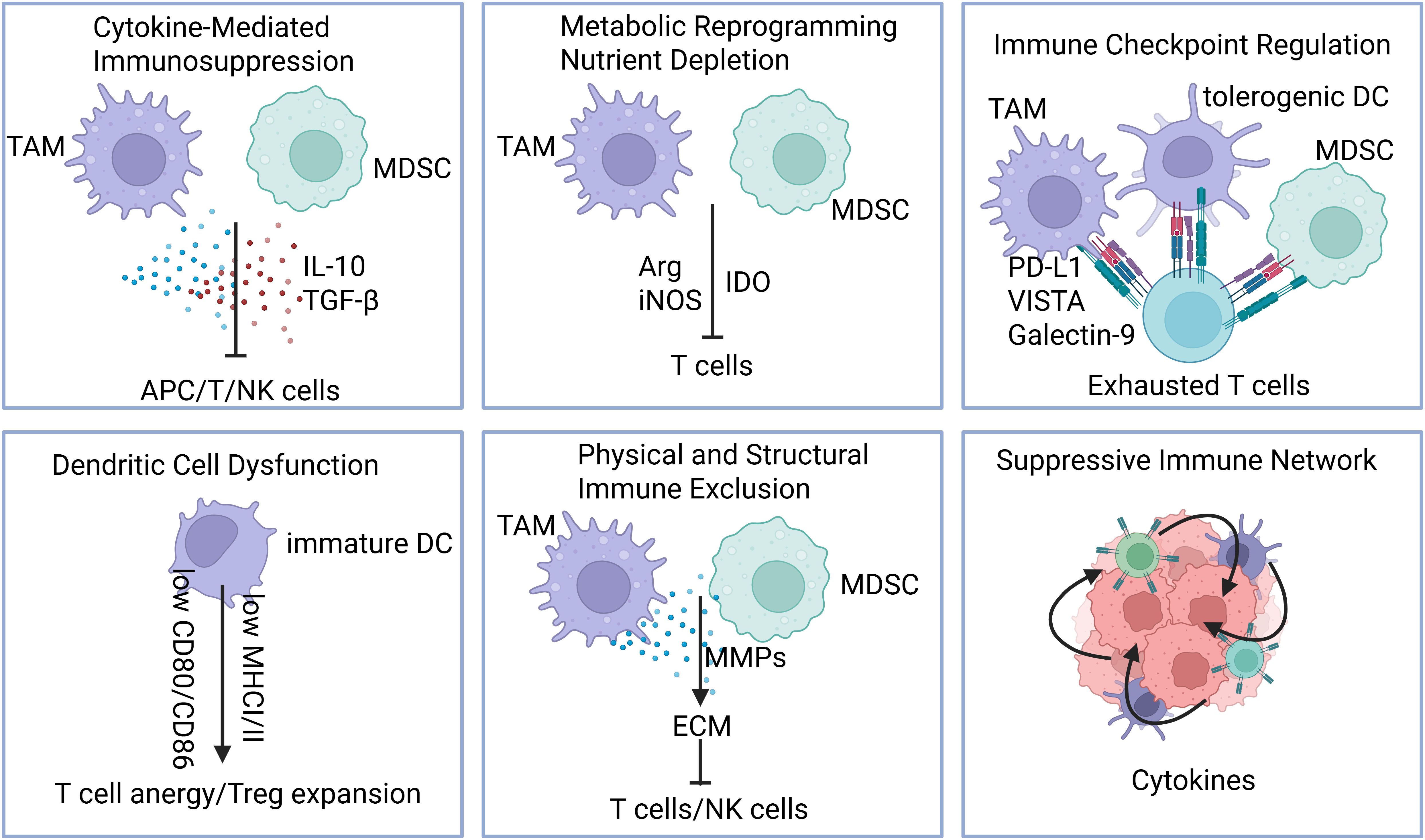 Diagram depicting mechanisms of immune evasion. Panels show: 1) Cytokine-mediated immunosuppression by TAM and MDSC cells affecting APC/T/NK cells. 2) Metabolic reprogramming impacting T cells. 3) Immune checkpoint regulation with exhausted T cells. 4) Dendritic cell dysfunction leading to T cell anergy. 5) Physical immune exclusion by MMPs altering ECM. 6) Suppressive immune network involving cytokines.