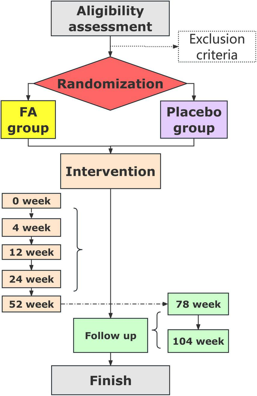 Flowchart depicting a clinical trial process. It begins with an eligibility assessment, leading to randomization into two groups: FA Group and Placebo Group. Both groups undergo an intervention with evaluations at 0, 4, 12, 24, and 52 weeks. Follow-up assessments occur at 78 and 104 weeks before the study concludes.