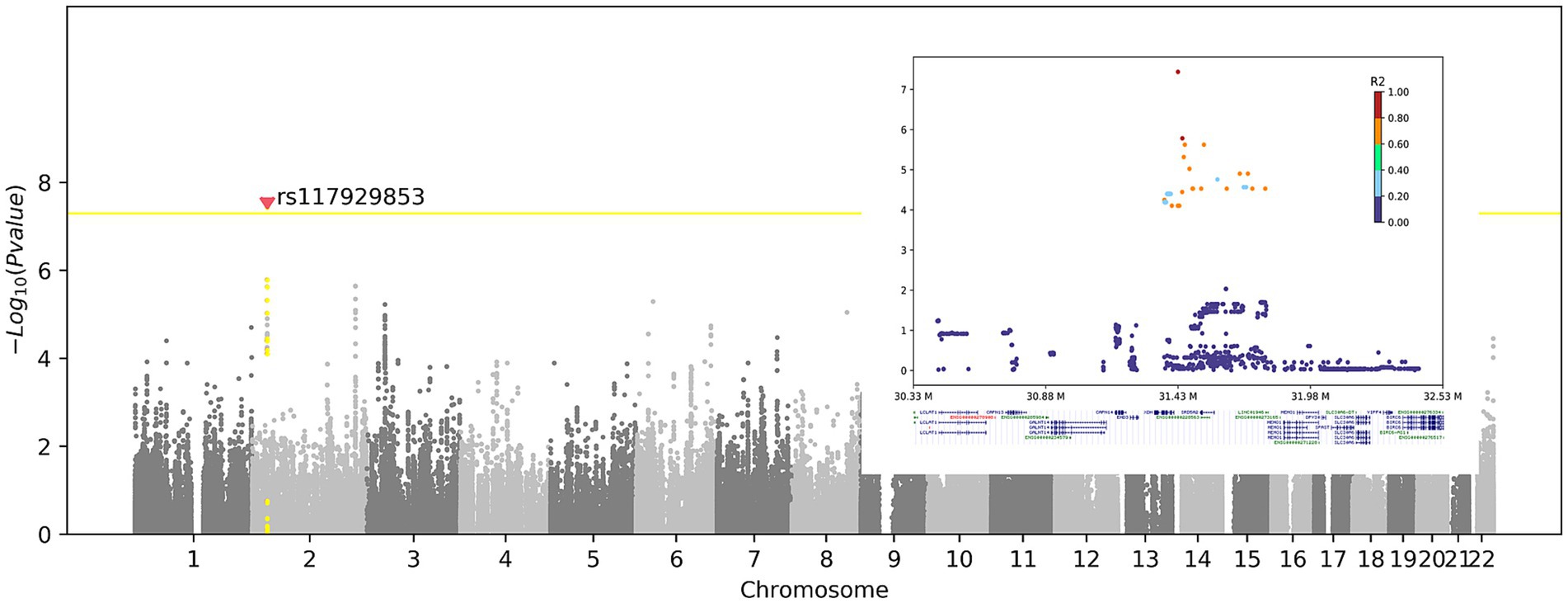 Manhattan plot displaying genetic association data for chromosomes one to twenty-two. Significant SNP rs117929853 is marked with a yellow line at -log10 p-value of eight. An inset highlights LD (linkage disequilibrium) with color-coded R² values ranging from zero to one.