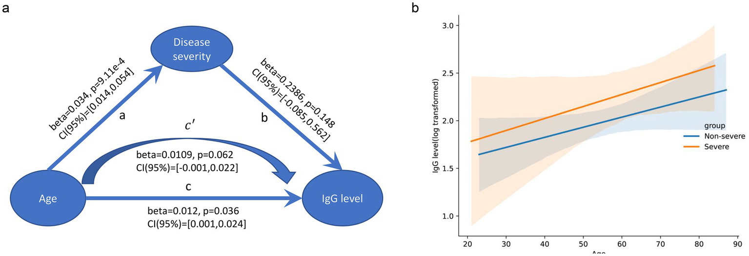 Diagram and graph a and b depict relationships between age, disease severity, and IgG level. Diagram a shows arrows and beta values indicating potential influences between these factors. Plot b illustrates the log-transformed IgG levels versus age. Two lines represent groups, with the orange line indicating severe cases and the blue line indicating non-severe cases. Both lines show an upward trend, with shading showing confidence intervals.