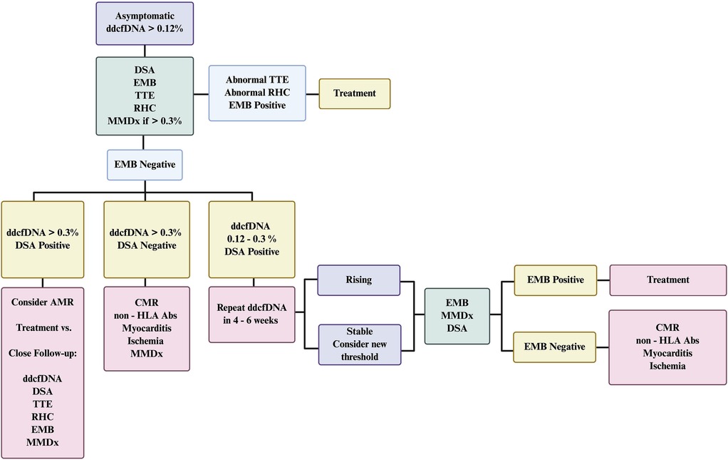 Flowchart for managing asymptomatic patients with ddcfDNA > 0.12 percent. It outlines diagnostic pathways with branches based on EMB results and ddcfDNA thresholds, suggesting treatments or follow-up actions such as considering AMR or performing additional tests like DSA, TTE, RHC, EMB, and MMDx.